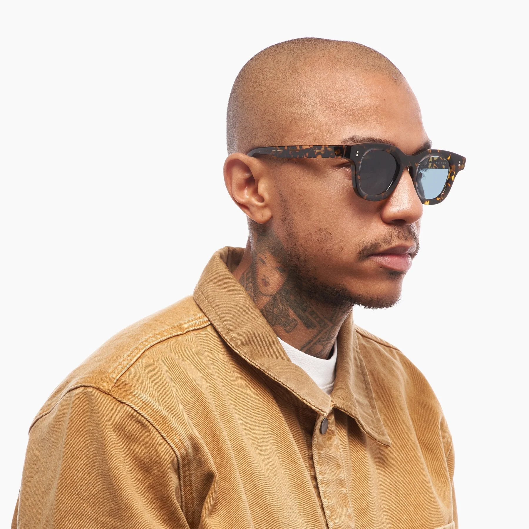Apollo / Tokyo Tortoise Acetate & Viridian Lens - Image 6