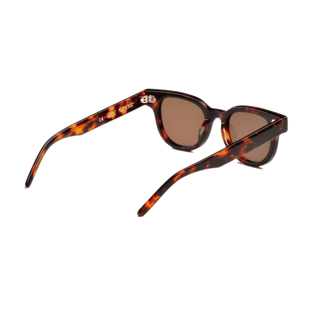 Legacy / Tortoise Acetate & Dark Brown Lens - Image 3