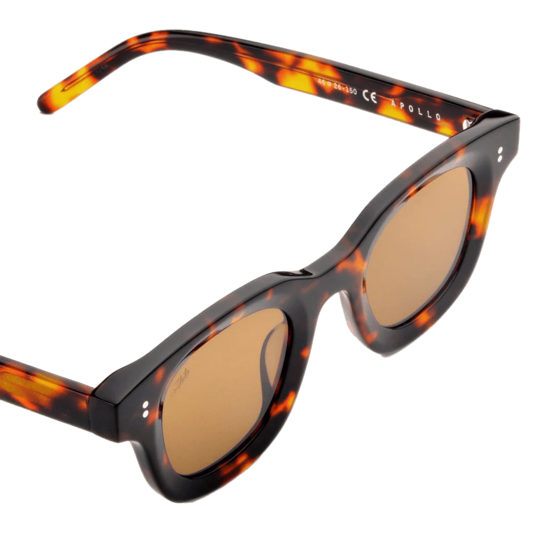 Apollo / Tortoise Acetate & Brown Lens - Image 3