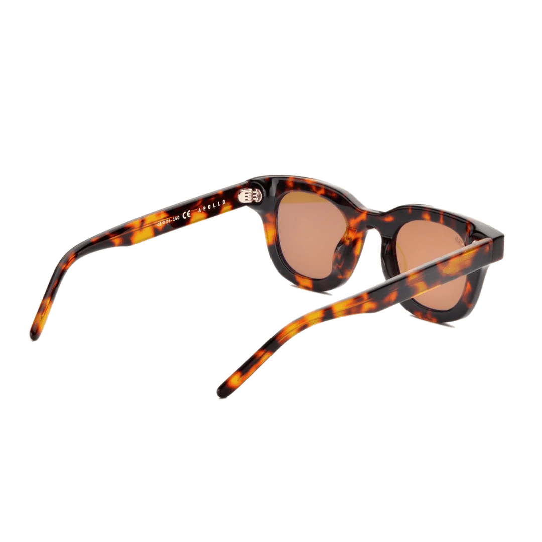 Apollo / Tortoise Acetate & Brown Lens - Image 4
