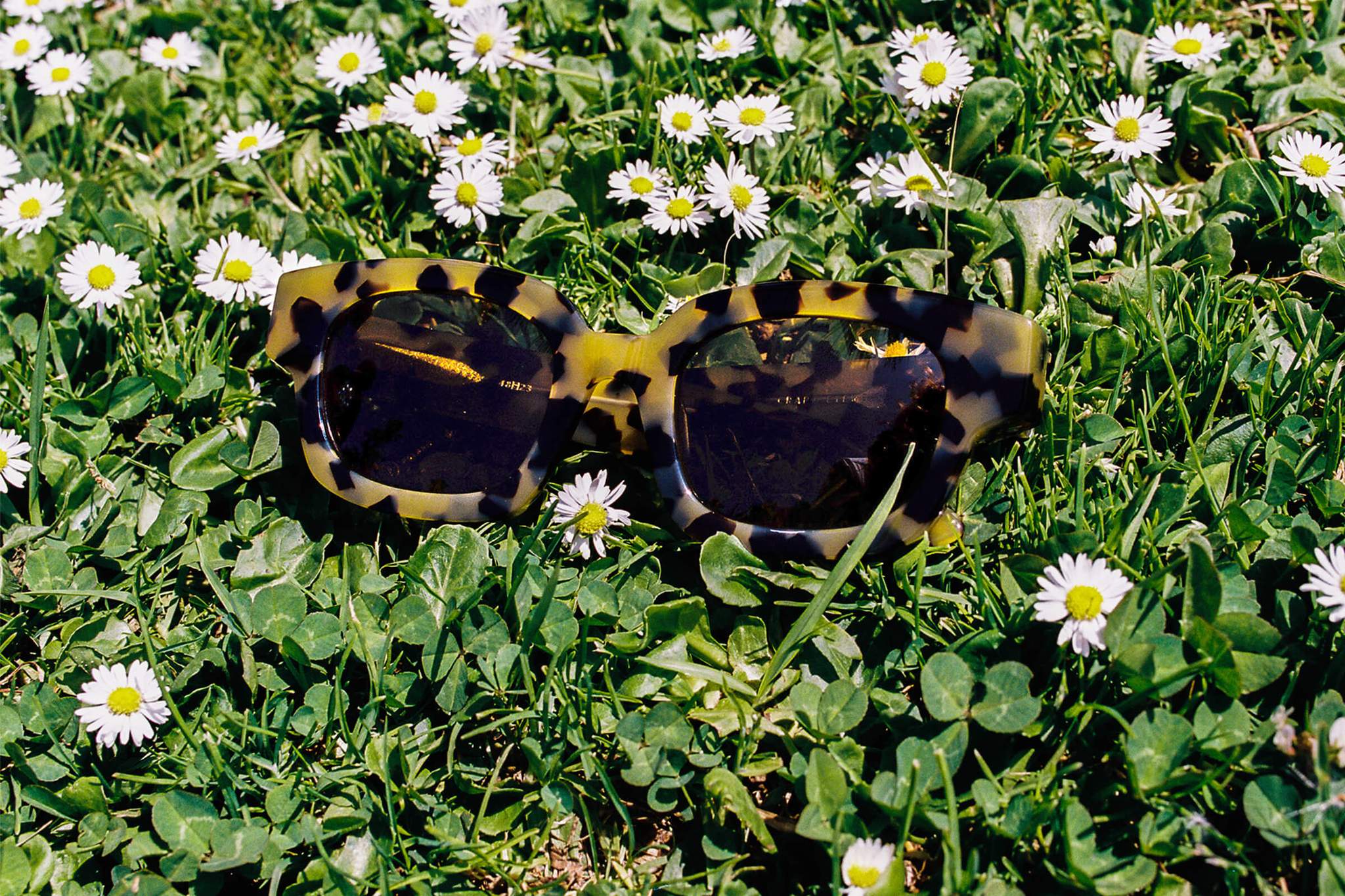 The Astro Dazey / Leopard Tortoise Bio & Polarised Brown Lens - Image 5
