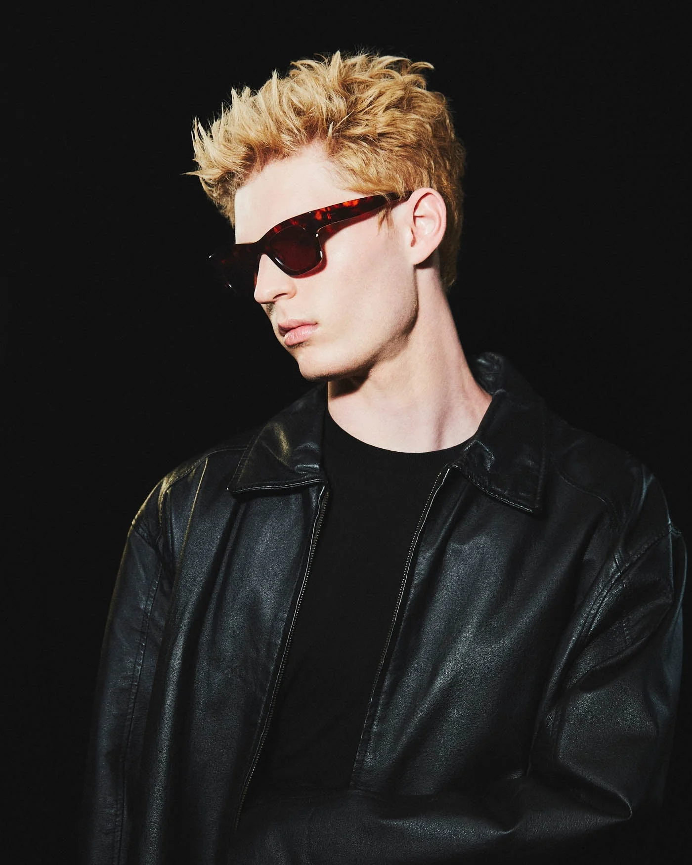 Blackbird x The Beatles / Tortoise Acetate & Brown Lens - Image 3
