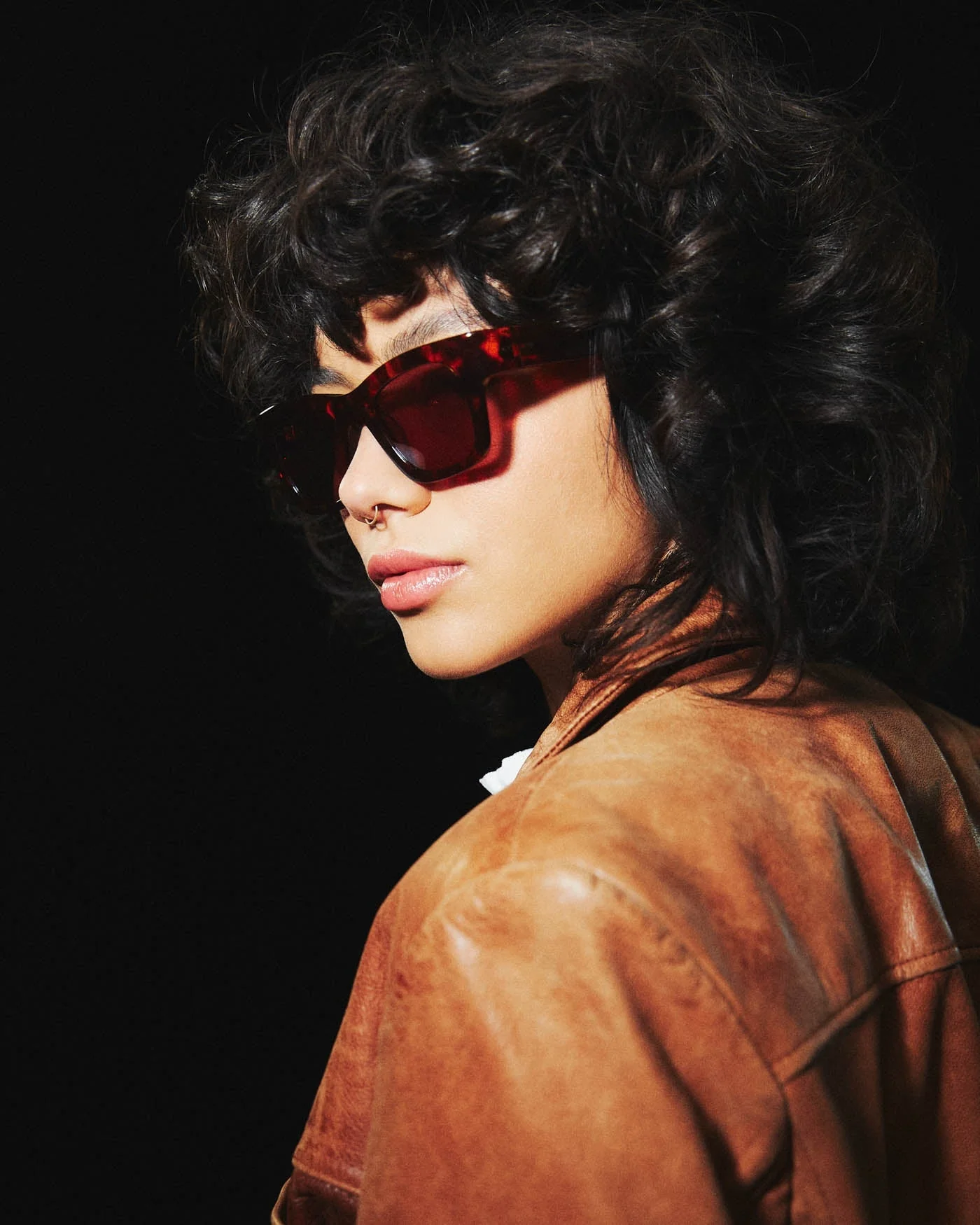 Blackbird x The Beatles / Tortoise Acetate & Brown Lens - Image 4