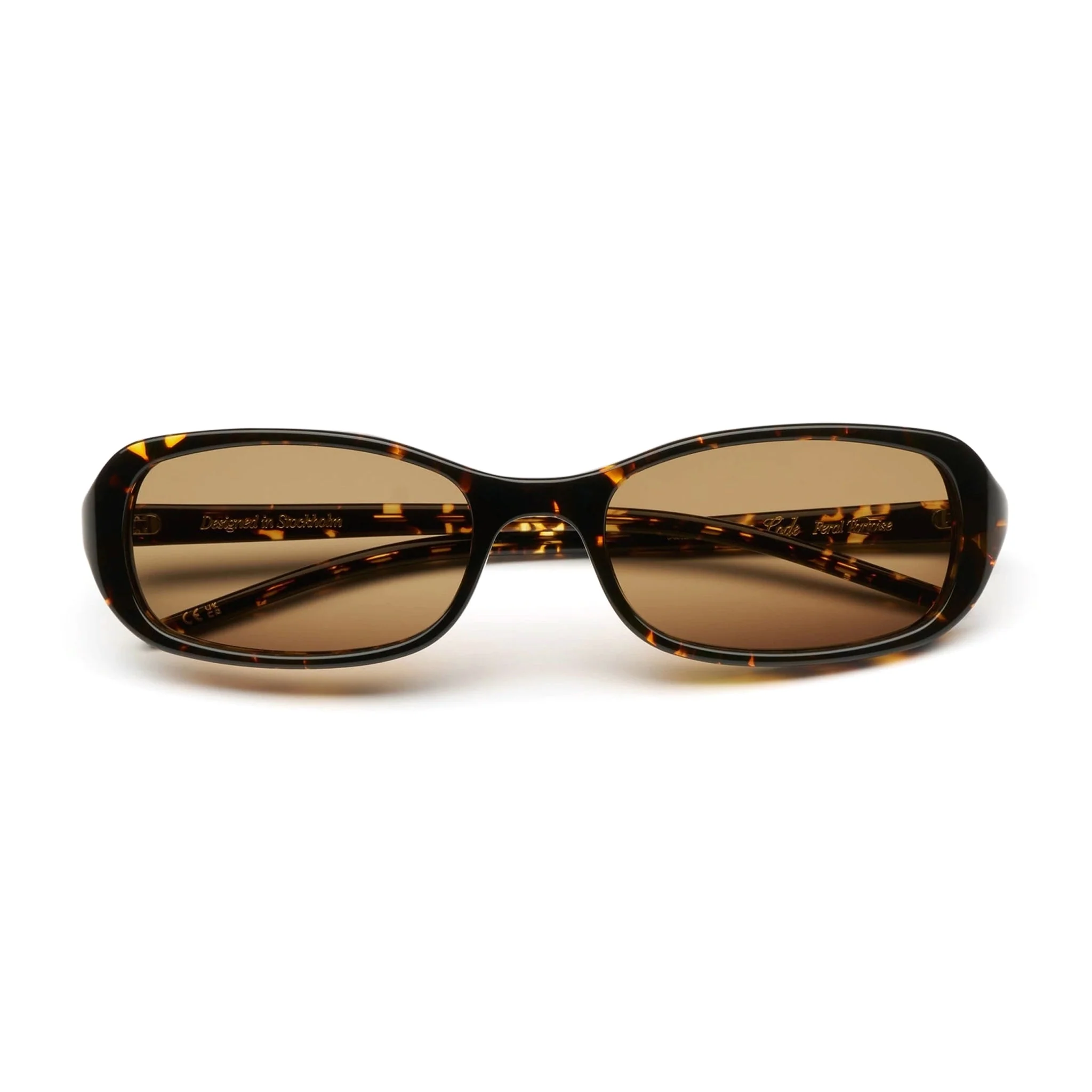 Code / Feral Tortoise & Brown Lens