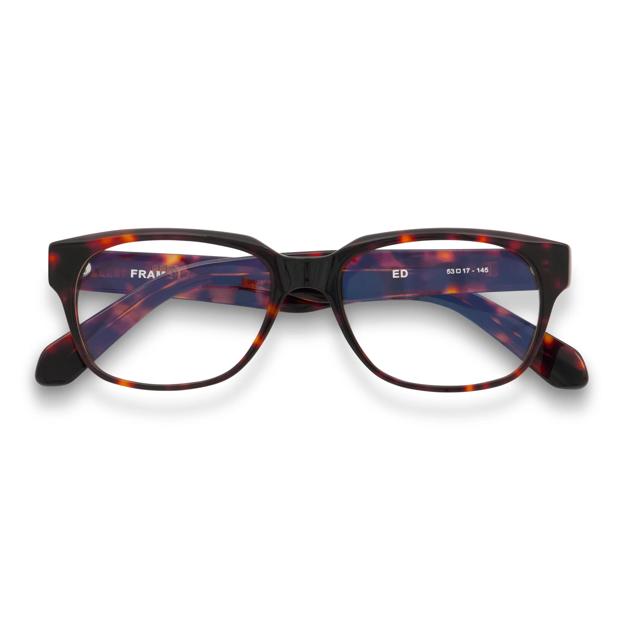Ed Optical / Dark Tortoise Acetate & Prescription Lens