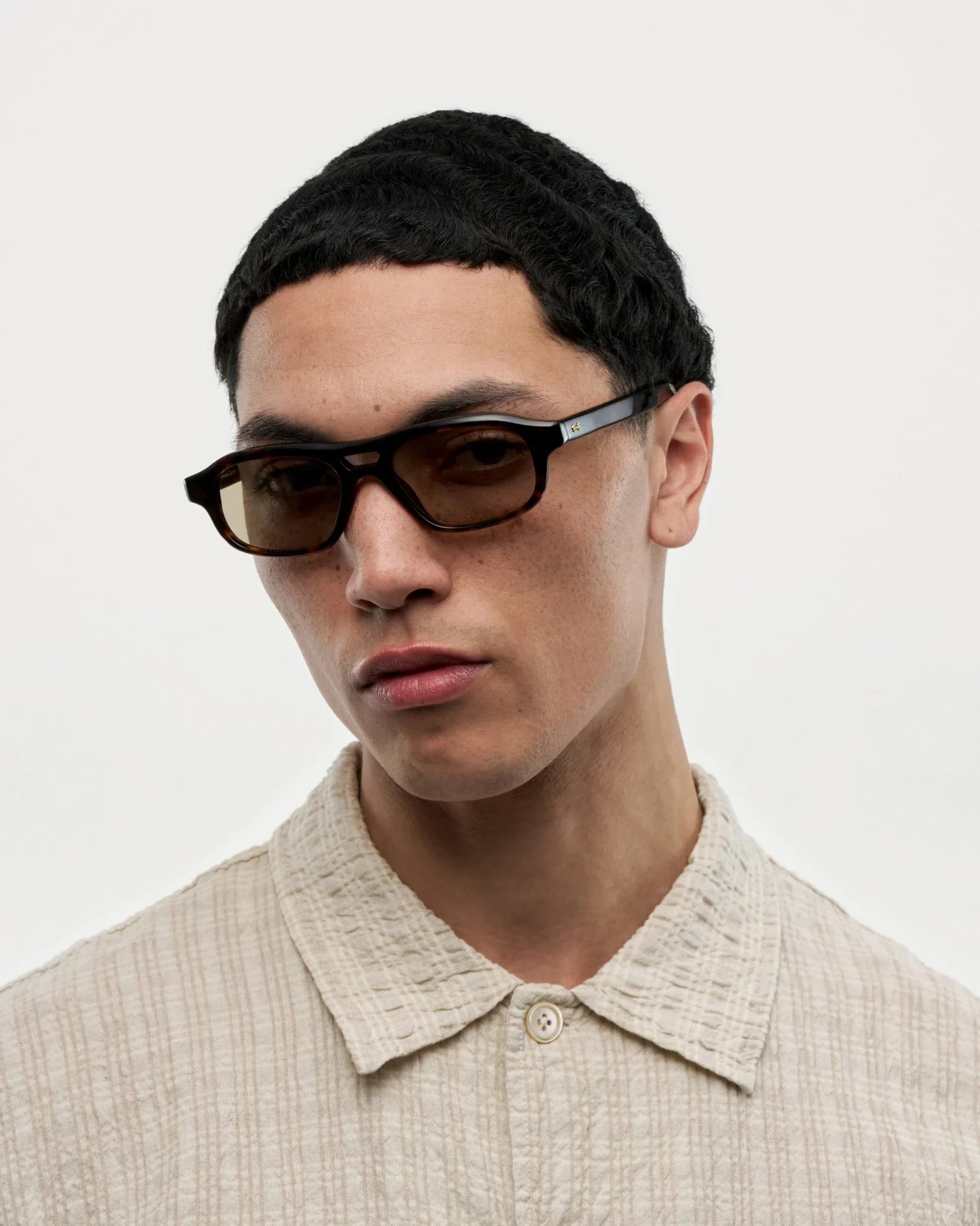 Eli / Terra Tortoise & Brown Lens - Image 4