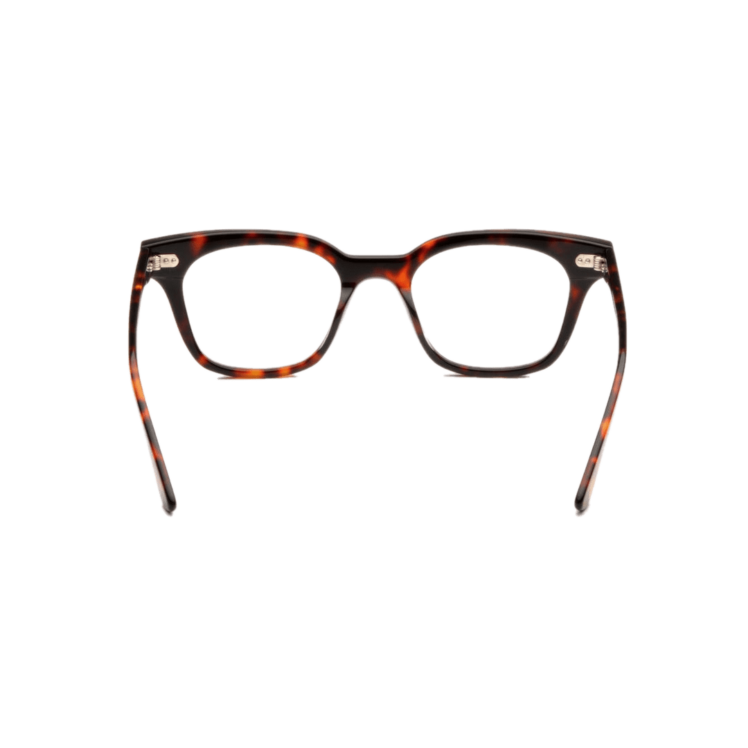 Hi-Fi 2.0 Optical / Tortoise Acetate & Blue-Light Lens - Image 3