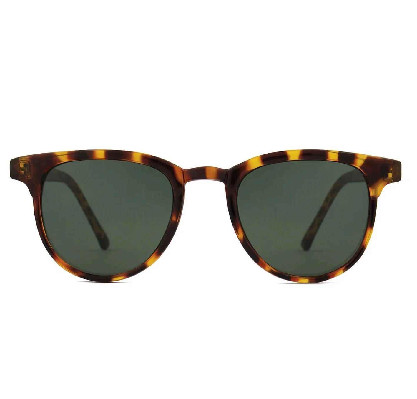 Francis / Tortoise
