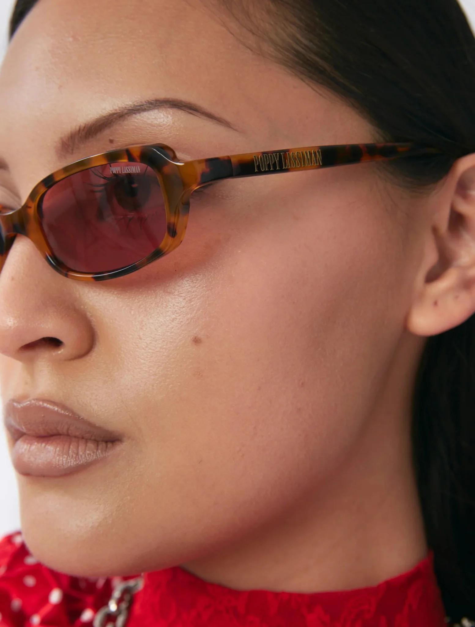 Lindle / Torti & Aubergine Lens - Image 5