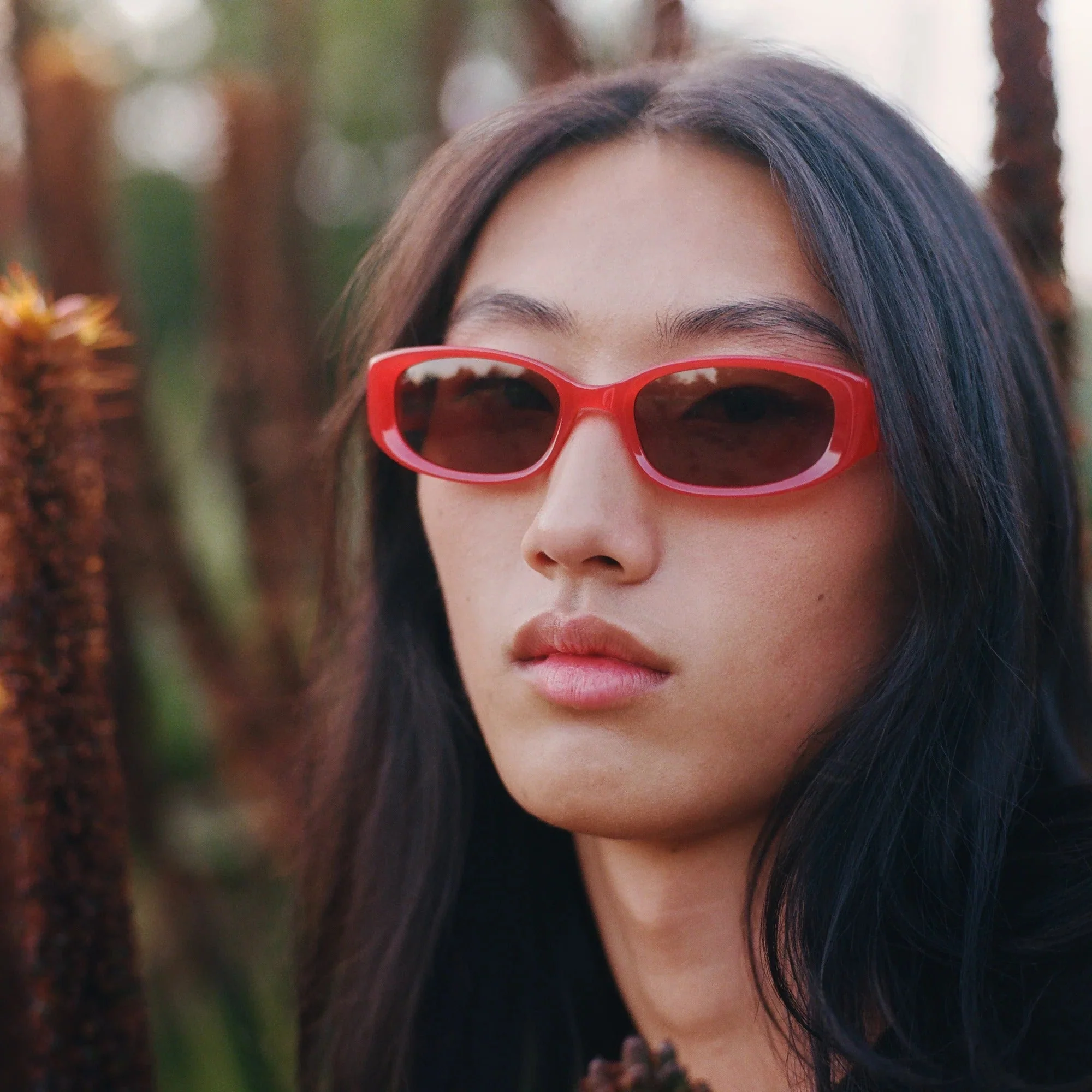Mira / Chili & Brown Lens - Image 3