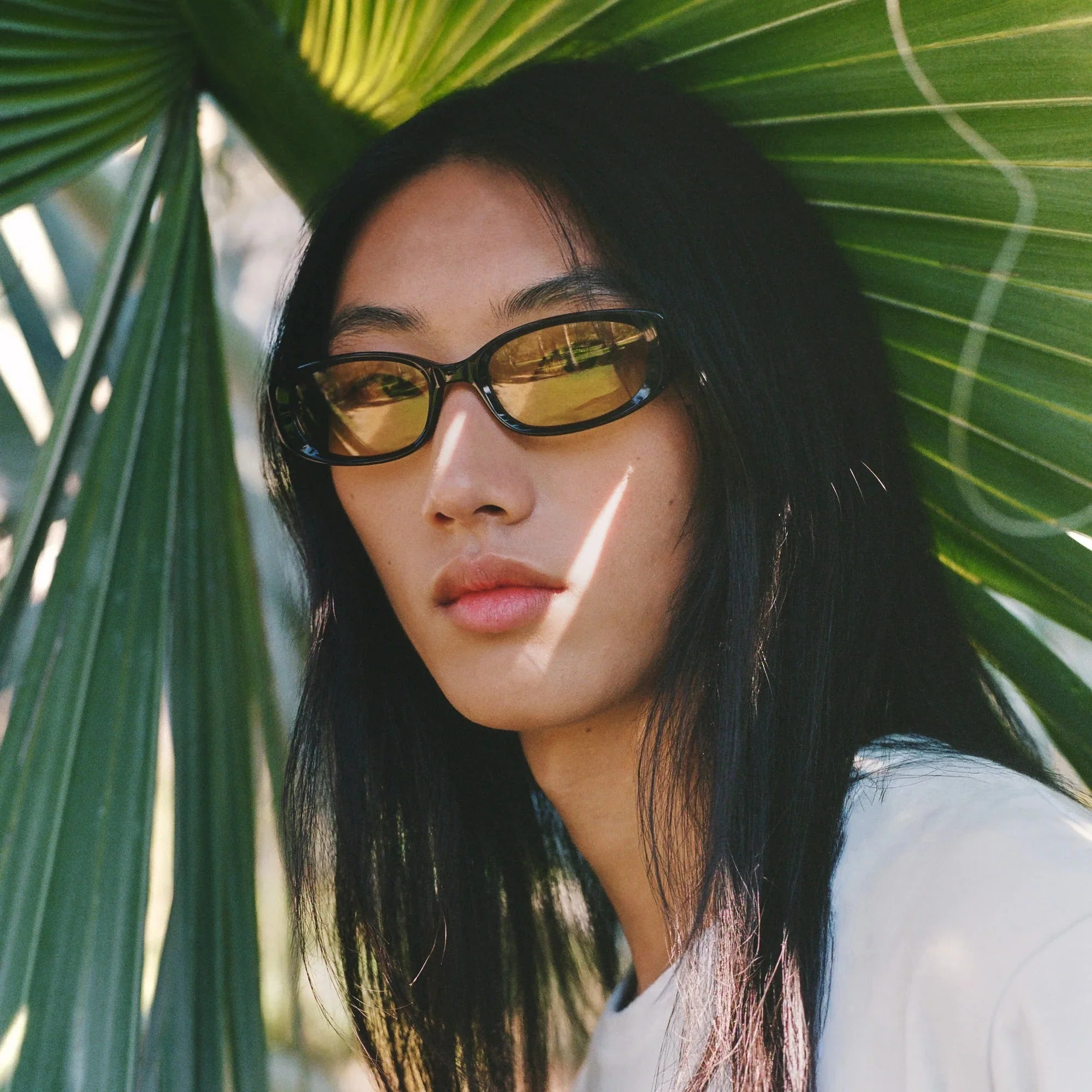 Mira / Espresso & Yellow Lens - Image 3