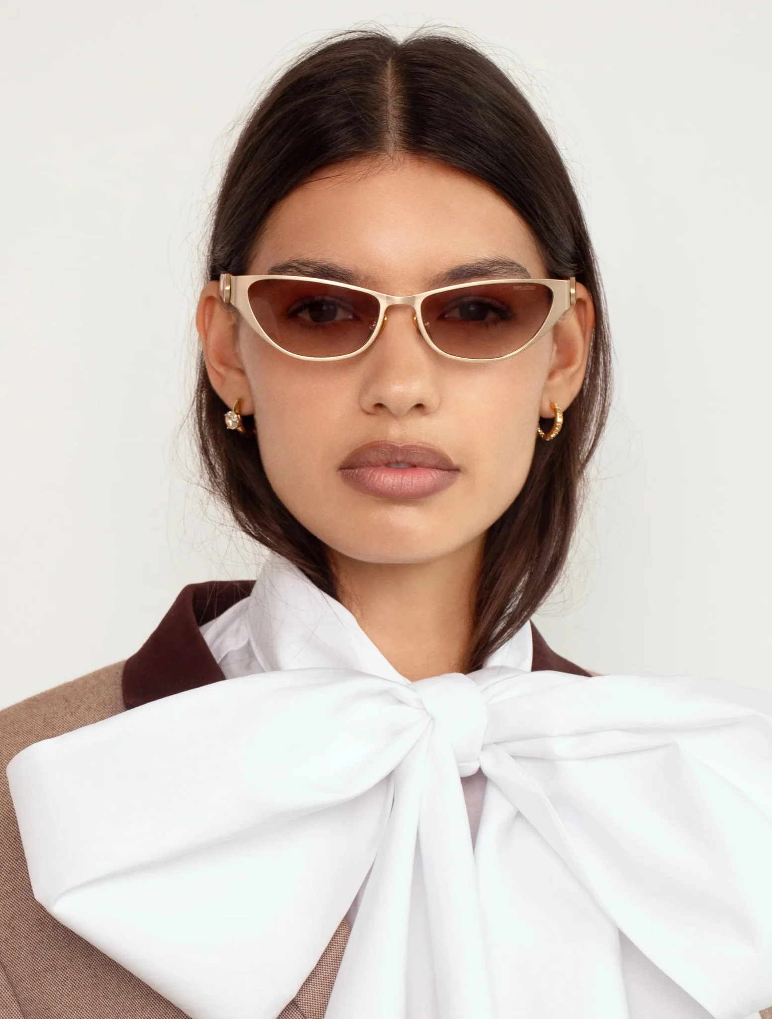Mod / Gold/Torti & Brown Gradient Lens - Image 3