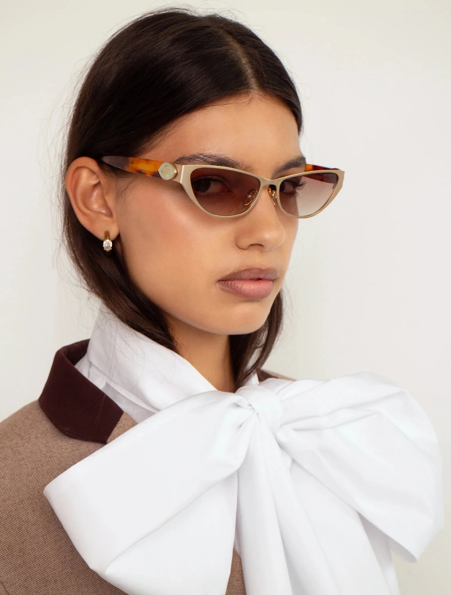 Mod / Gold/Torti & Brown Gradient Lens - Image 4