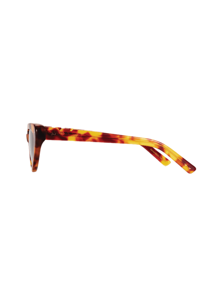 X Tahnee / Yesterday / Light Tortoise - Image 4