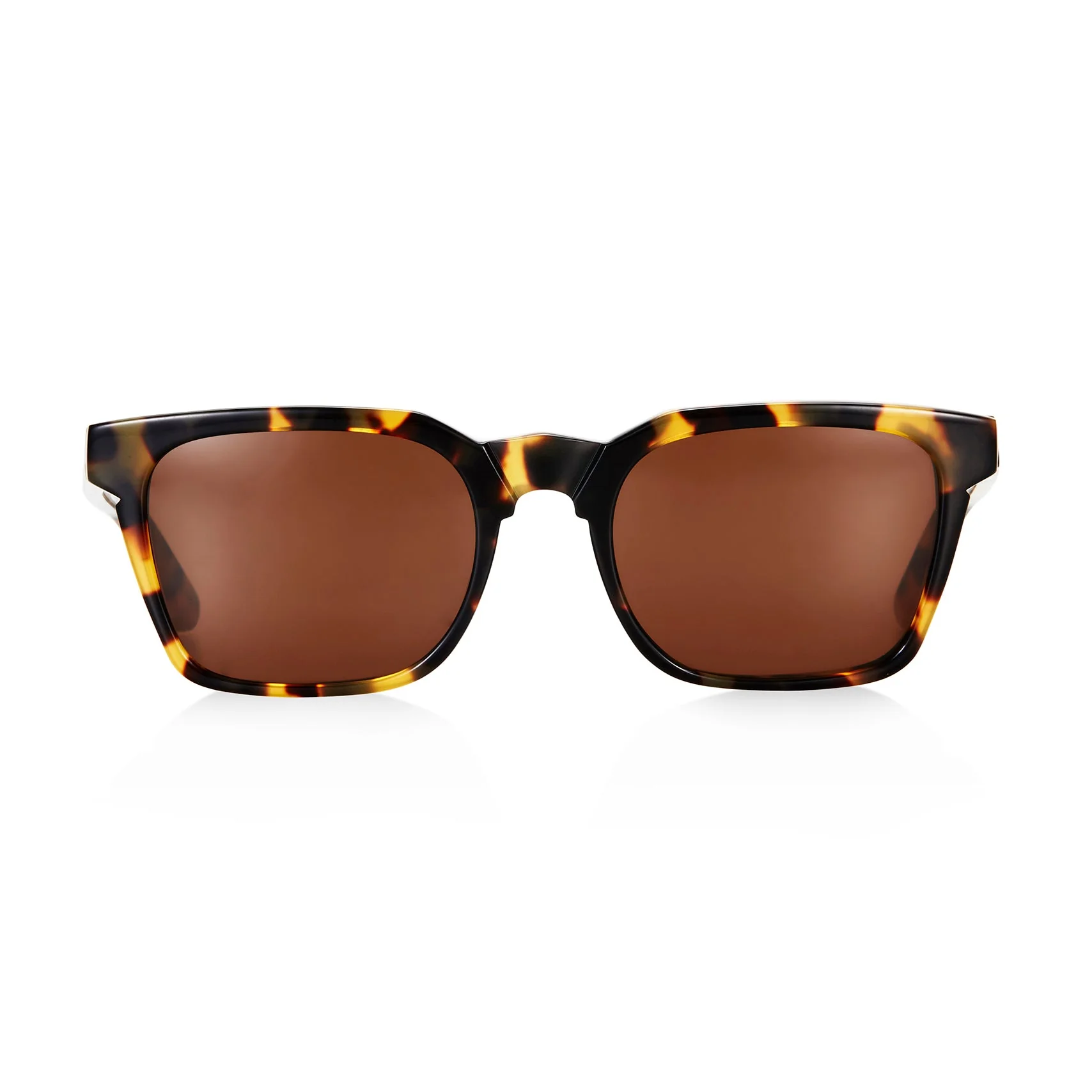 Young & Old / Dark Tortoise