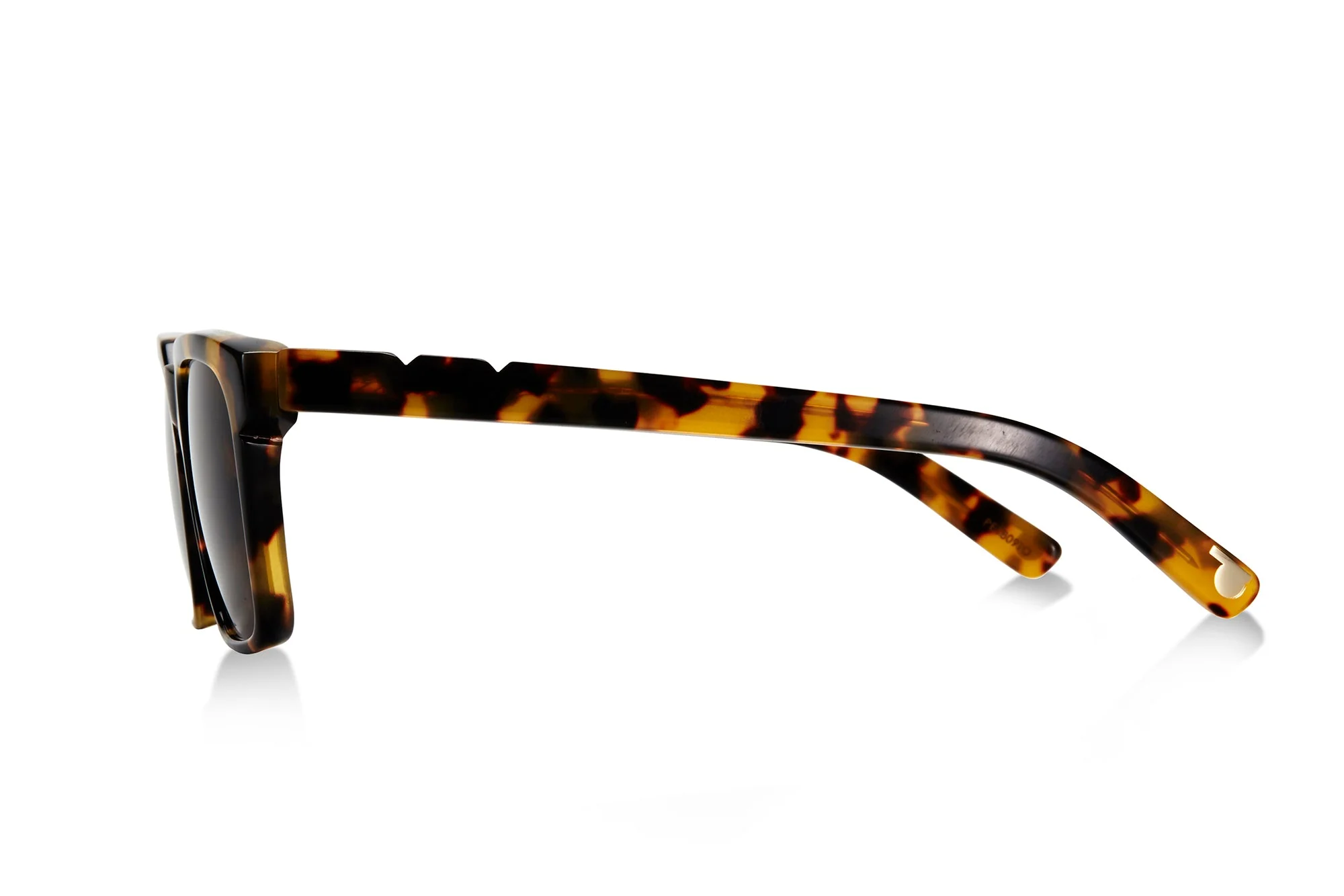 Young & Old / Dark Tortoise - Image 3