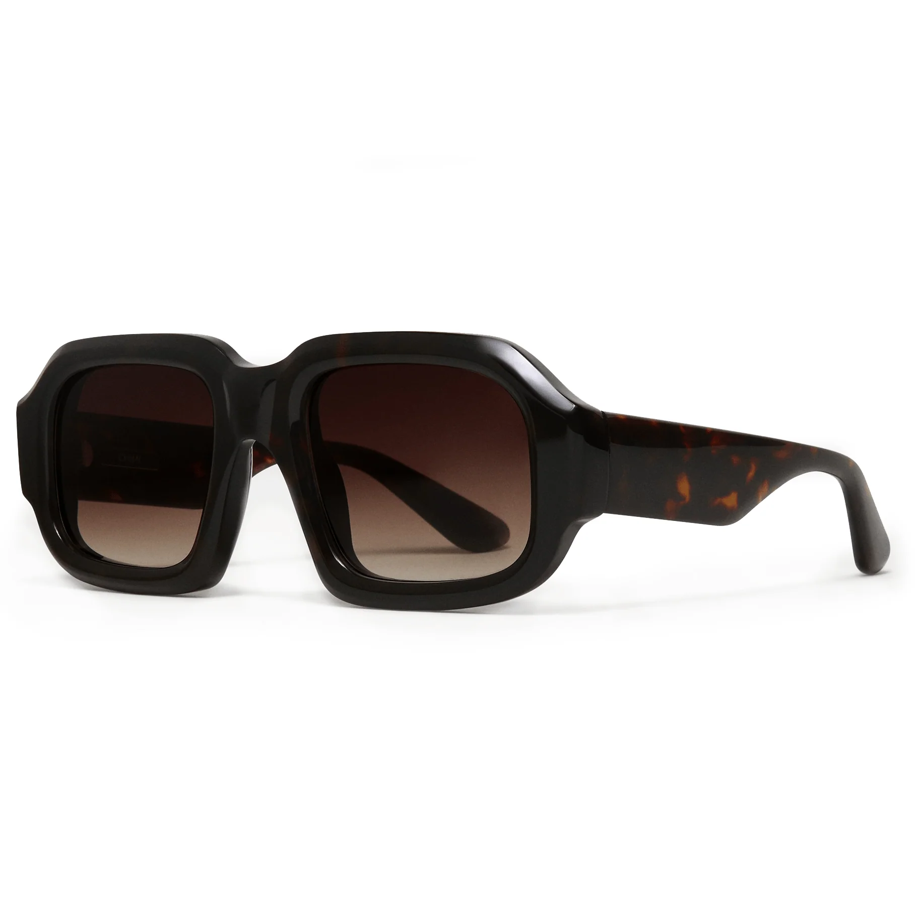 Plata / Tortoise & Brown Gradient Lens - Image 2