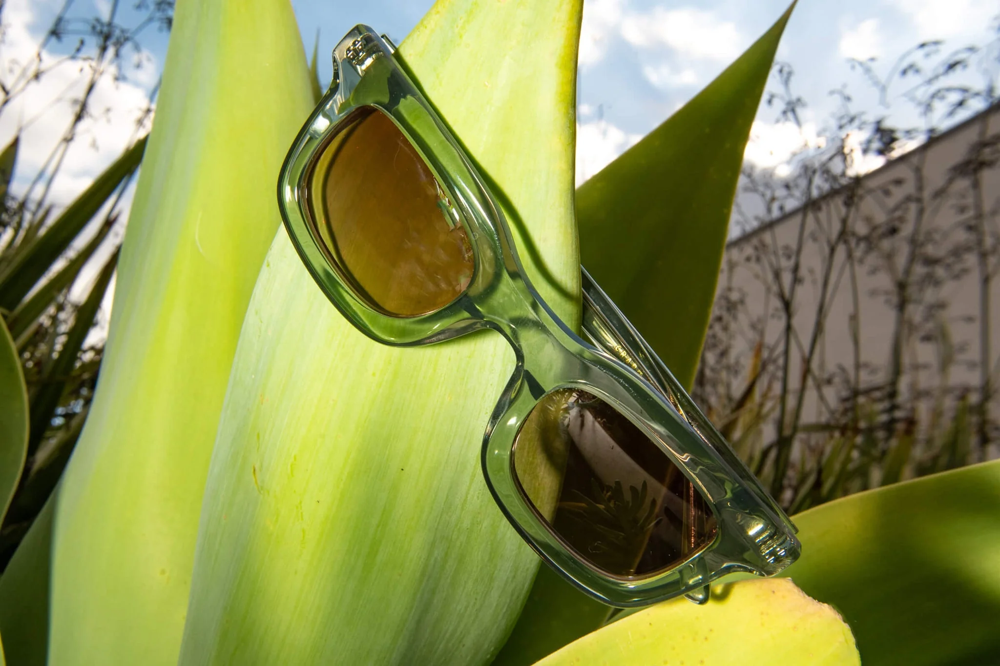 The Anti Matter / Crystal Sage Bio & Dune Gradient Lens - Image 5