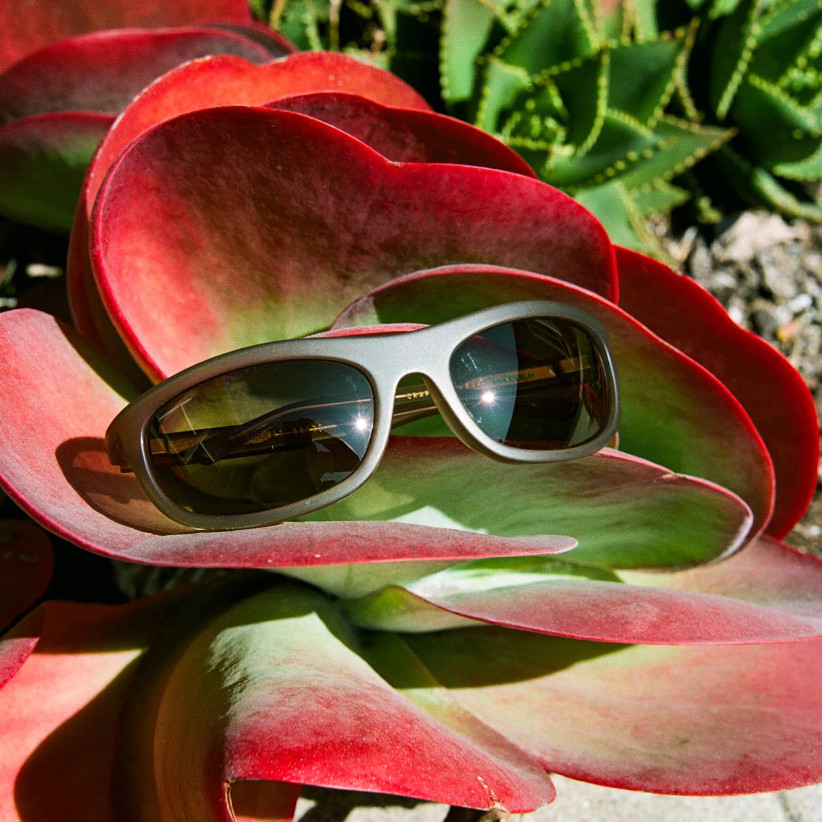 The Chaos Vault / Matte Crystal Mud Bio & Dune Lens - Image 7