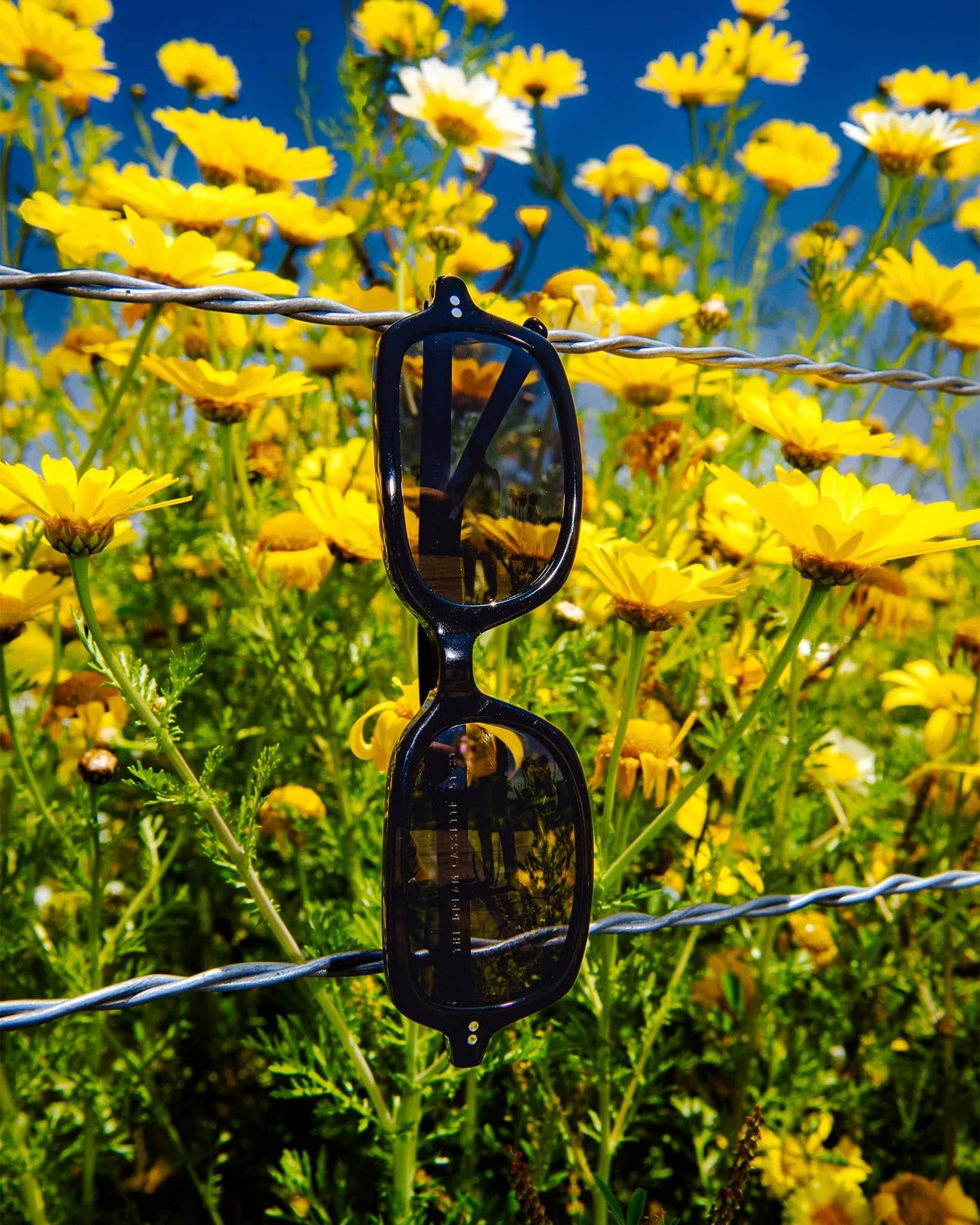 The Dream Cassette / Black Bio & Polarised Grey Lens - Image 5