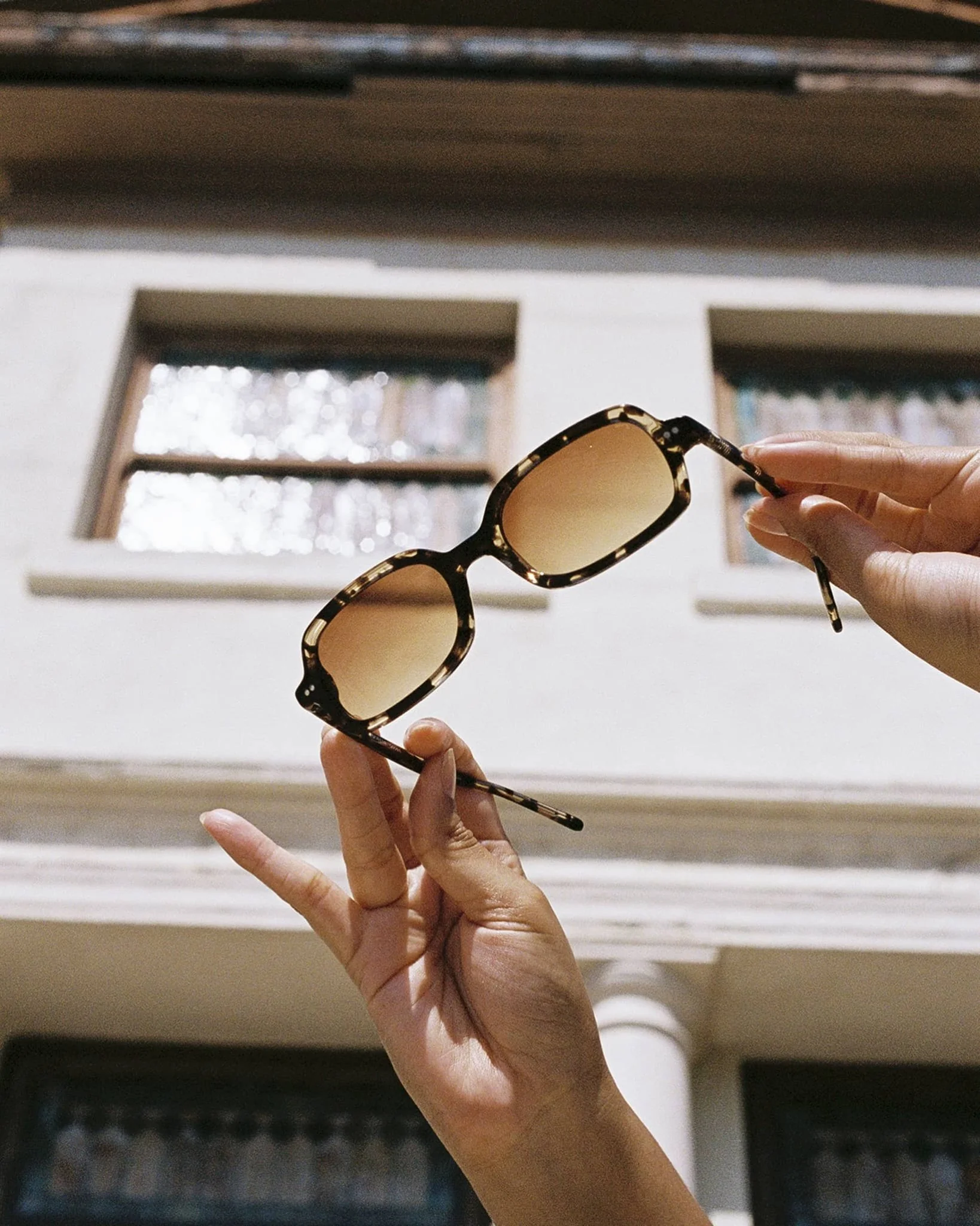 The Dream Cassette / Desert Tortoise Bio & Redwood Gradient Lens - Image 6