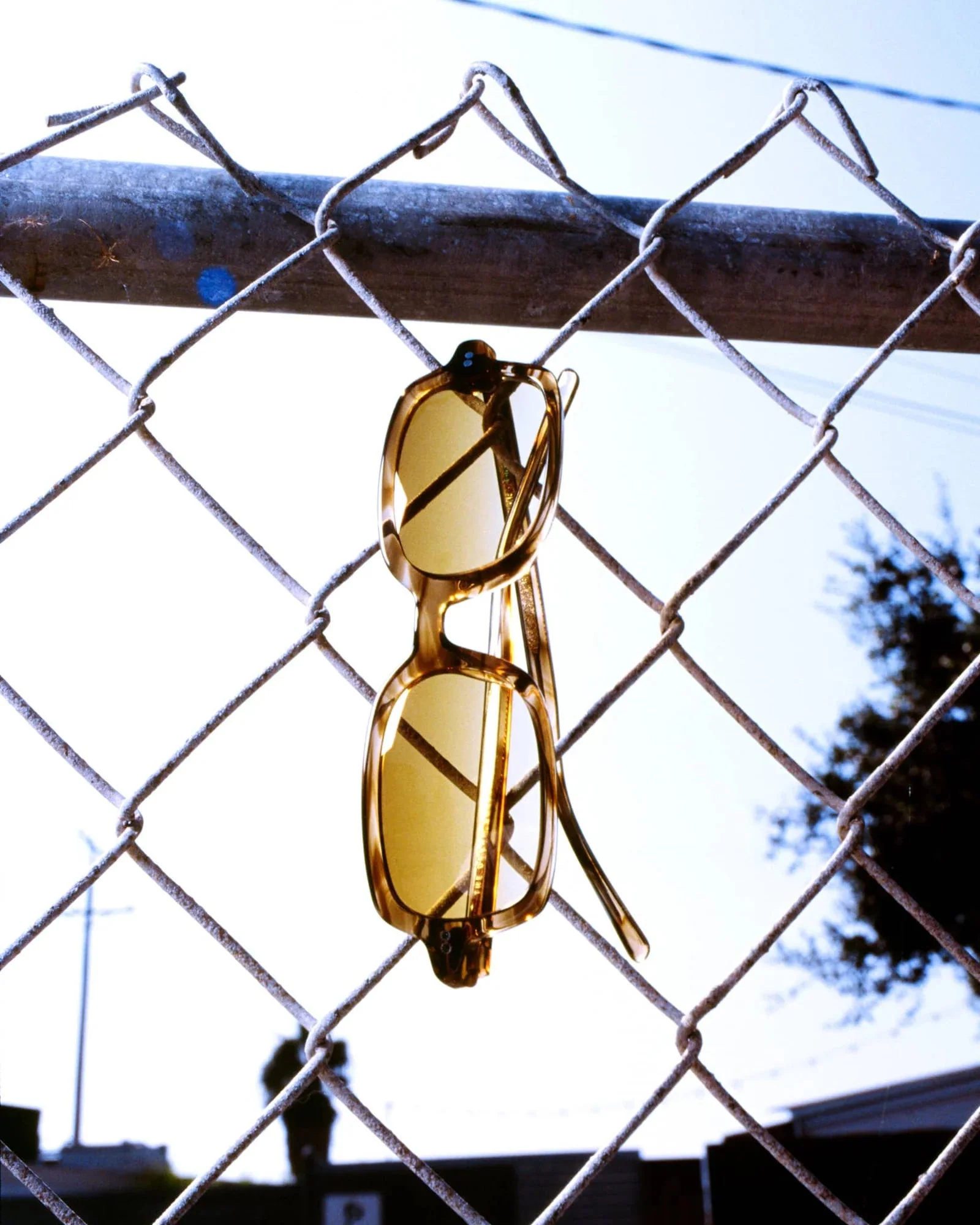 The Dream Cassette / Dune Bio & Kelp Gradient Lens - Image 5