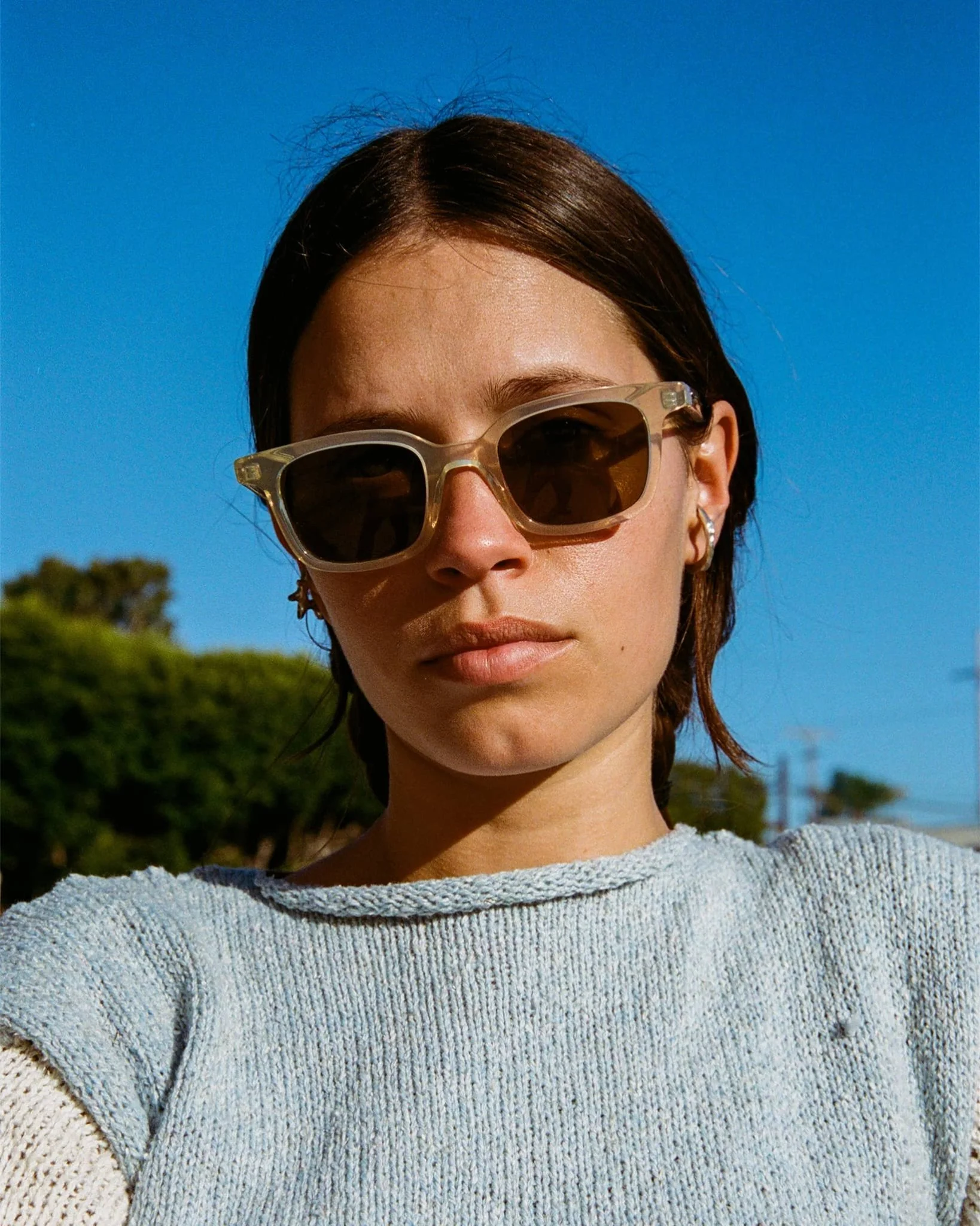 The Dropout Boogie / Crystal Champagne Bio & Polarised Bronze Lens - Image 4