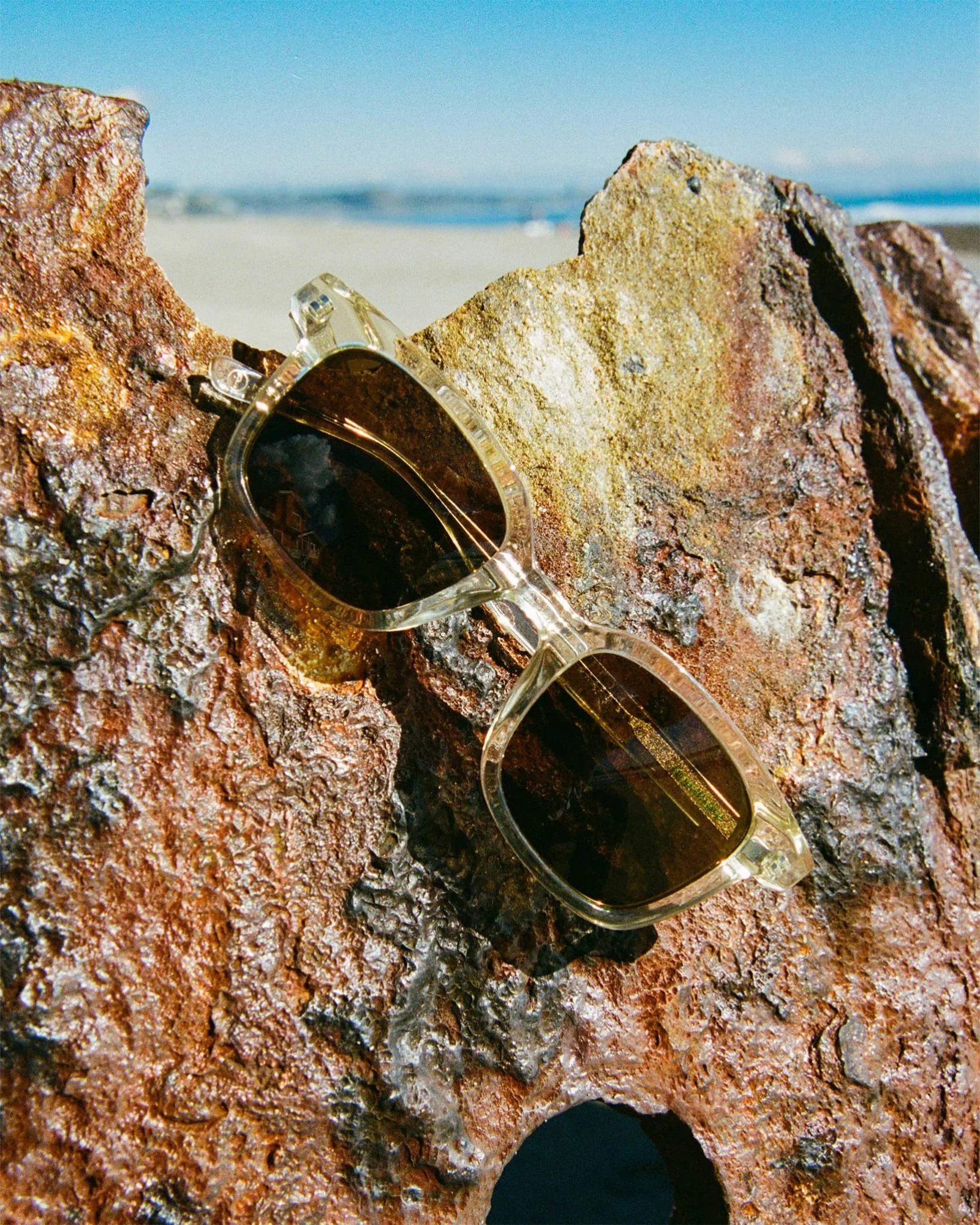 The Dropout Boogie / Crystal Champagne Bio & Polarised Bronze Lens - Image 5