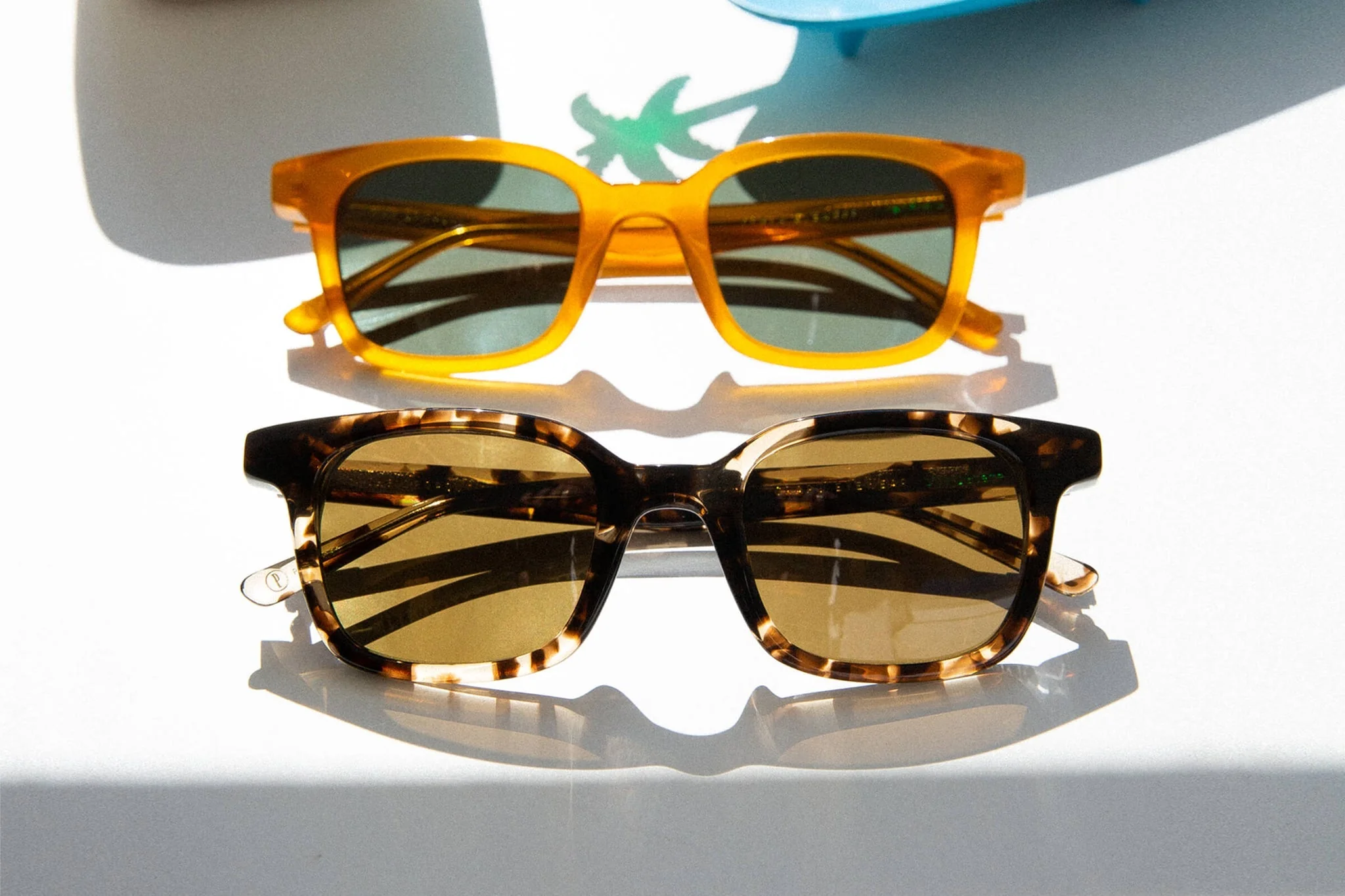 The Dropout Boogie / Desert Tortoise Bio & Polarised Grapeseed Lens - Image 5