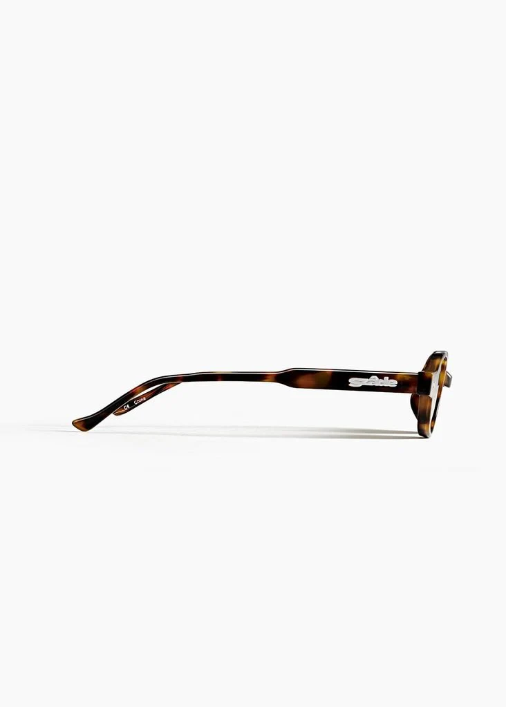 Errol / Pinta Tortoise - Image 4