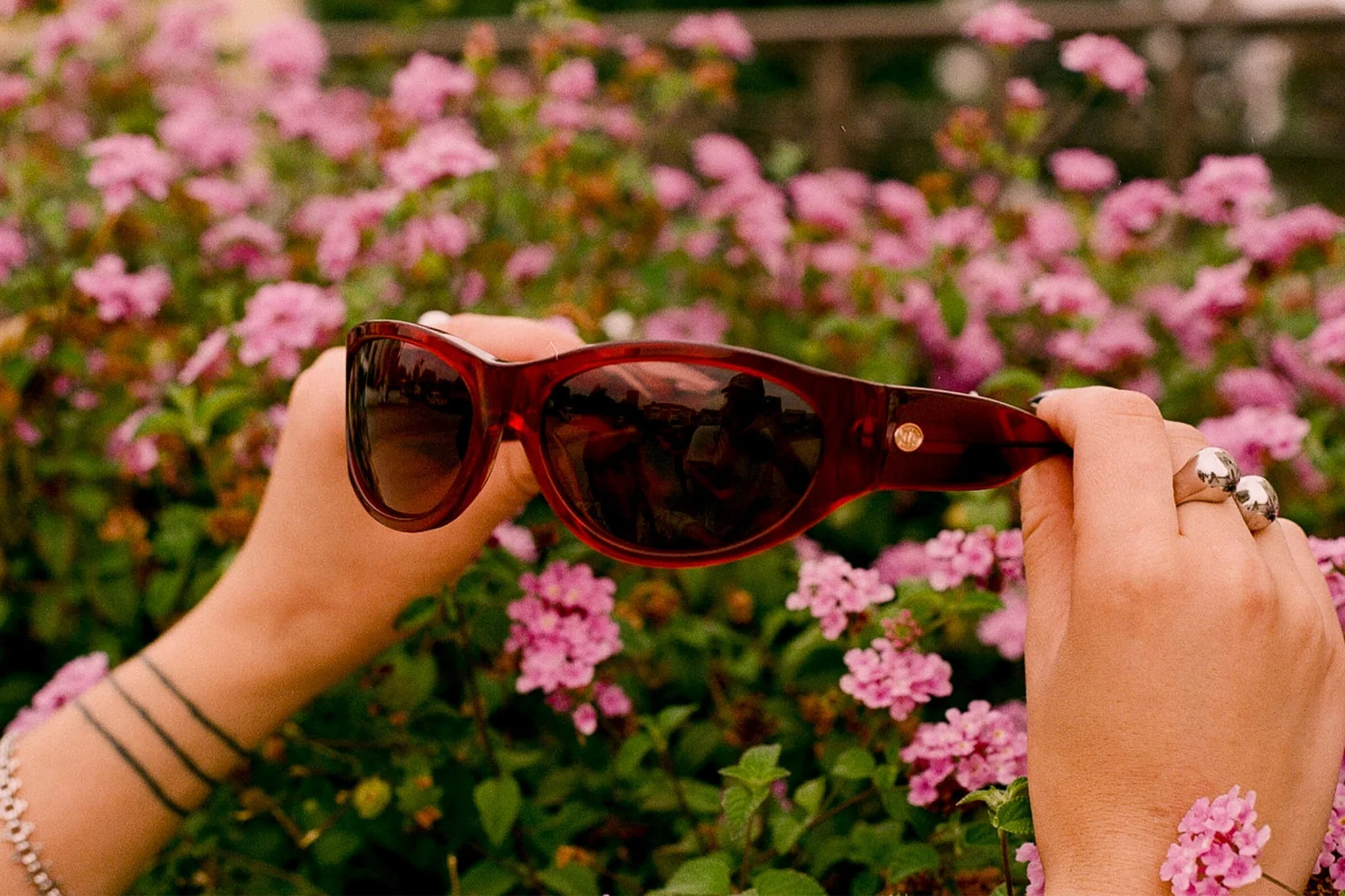 The Funk Daddy / Crystal Cherry Bio & Rosewood Lens - Image 5