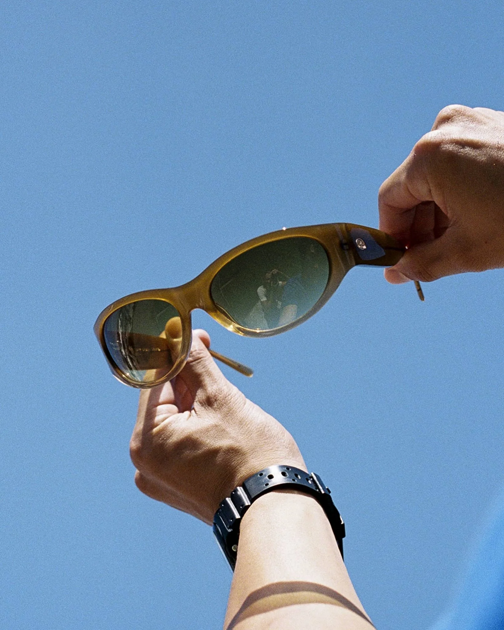 The Funk Daddy / Mustard Seed Gradient Bio & Kelp Gradient Lens - Image 6