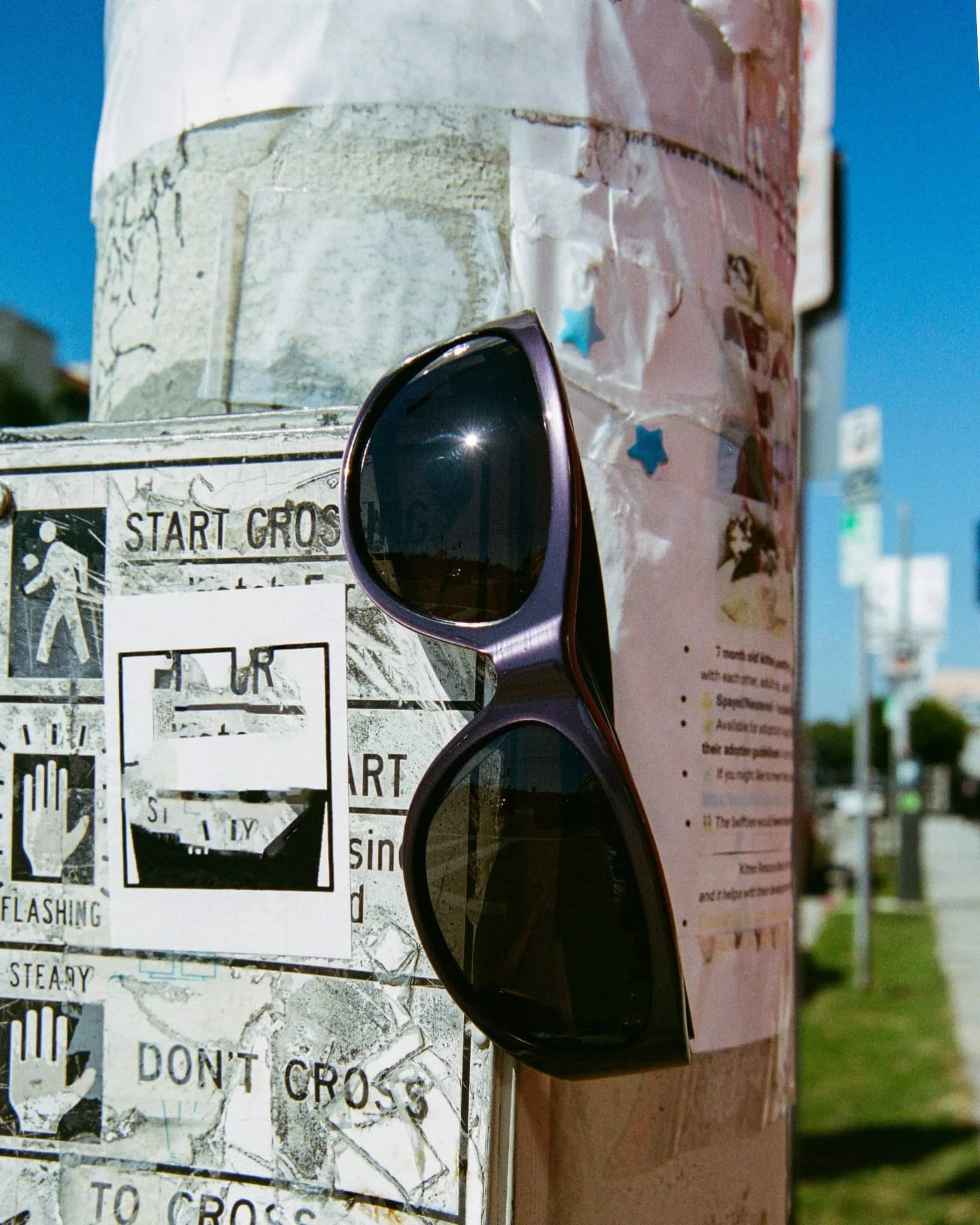 The Funk Daddy / Recycled Metallic Plum & Purple Lens - Image 5