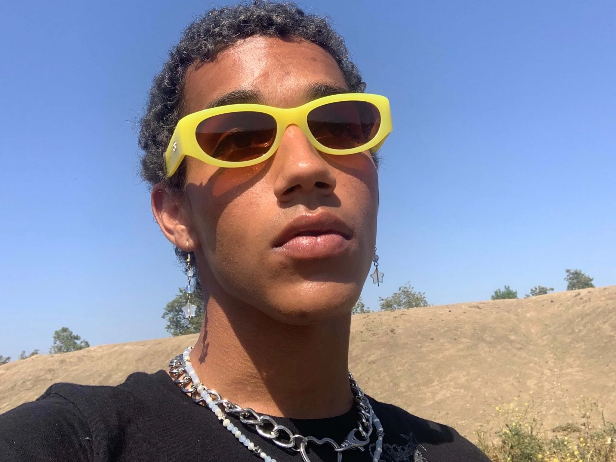 The Funk Punk / Pineapple Bio & Rosewood Sunset Lens - Image 5