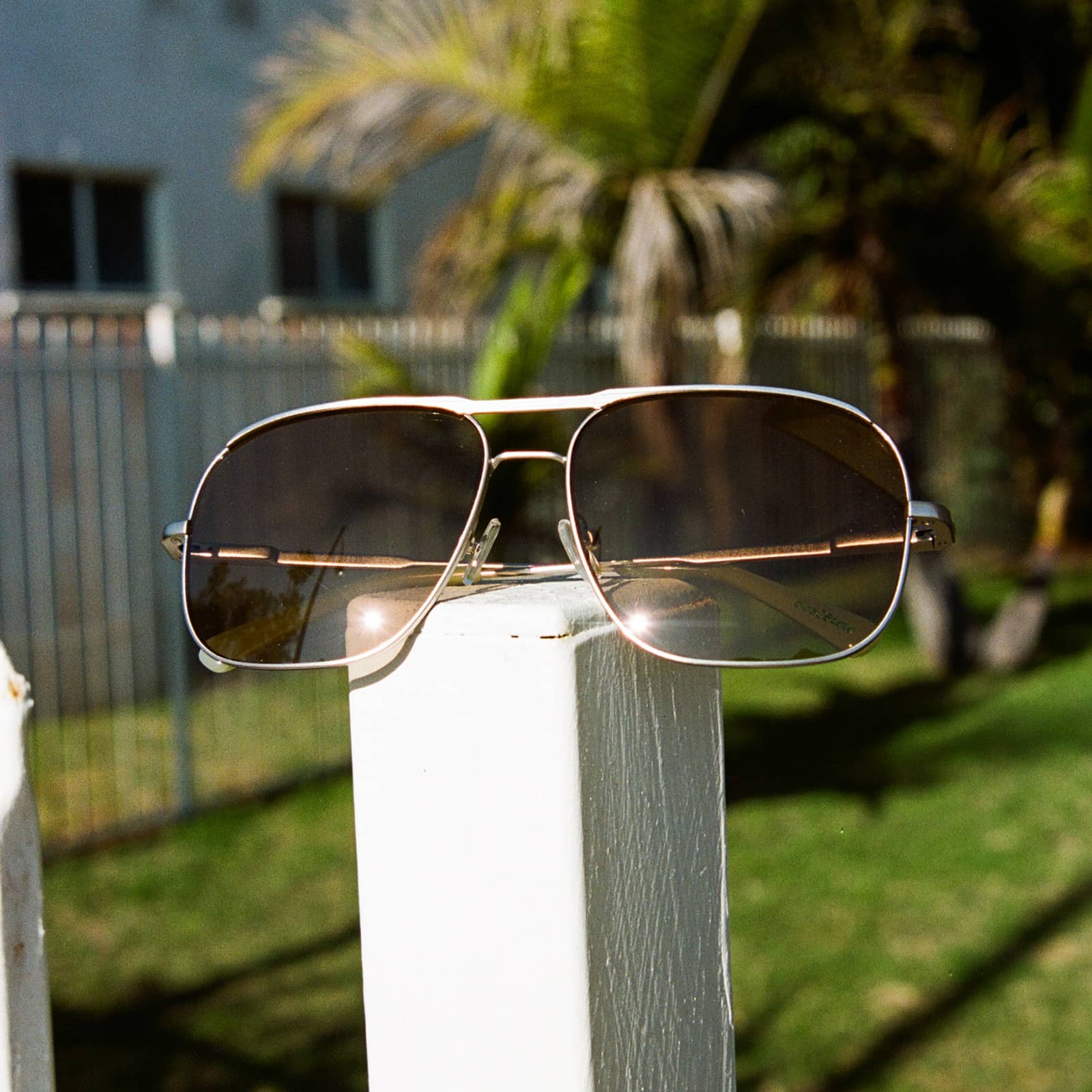 The Glass Bubble / Matte Silver & Artichoke Bio & Shroom Lens - Image 5