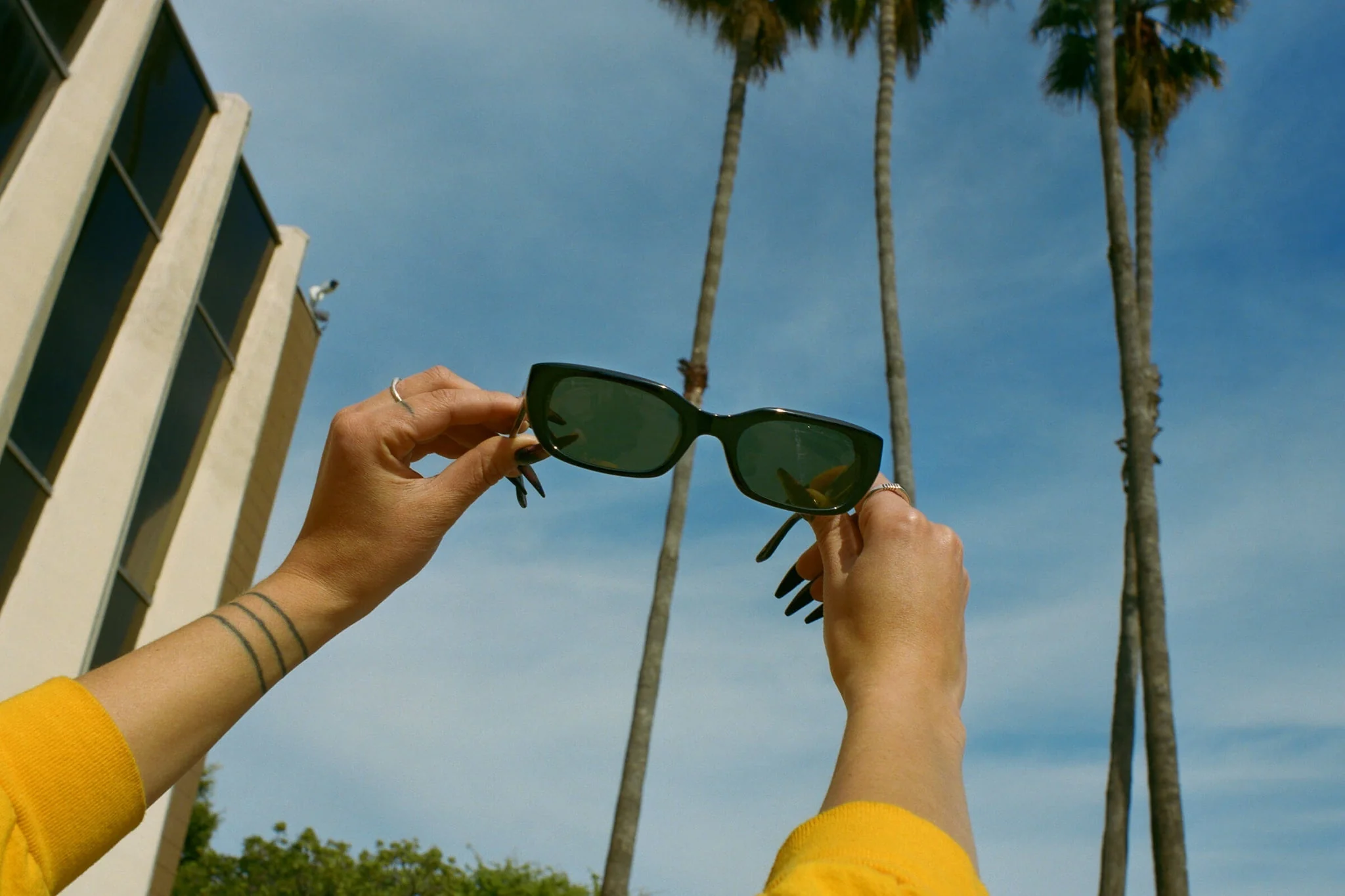 The Gothic Breeze / Black Bio & Polarised G15 Lens - Image 3