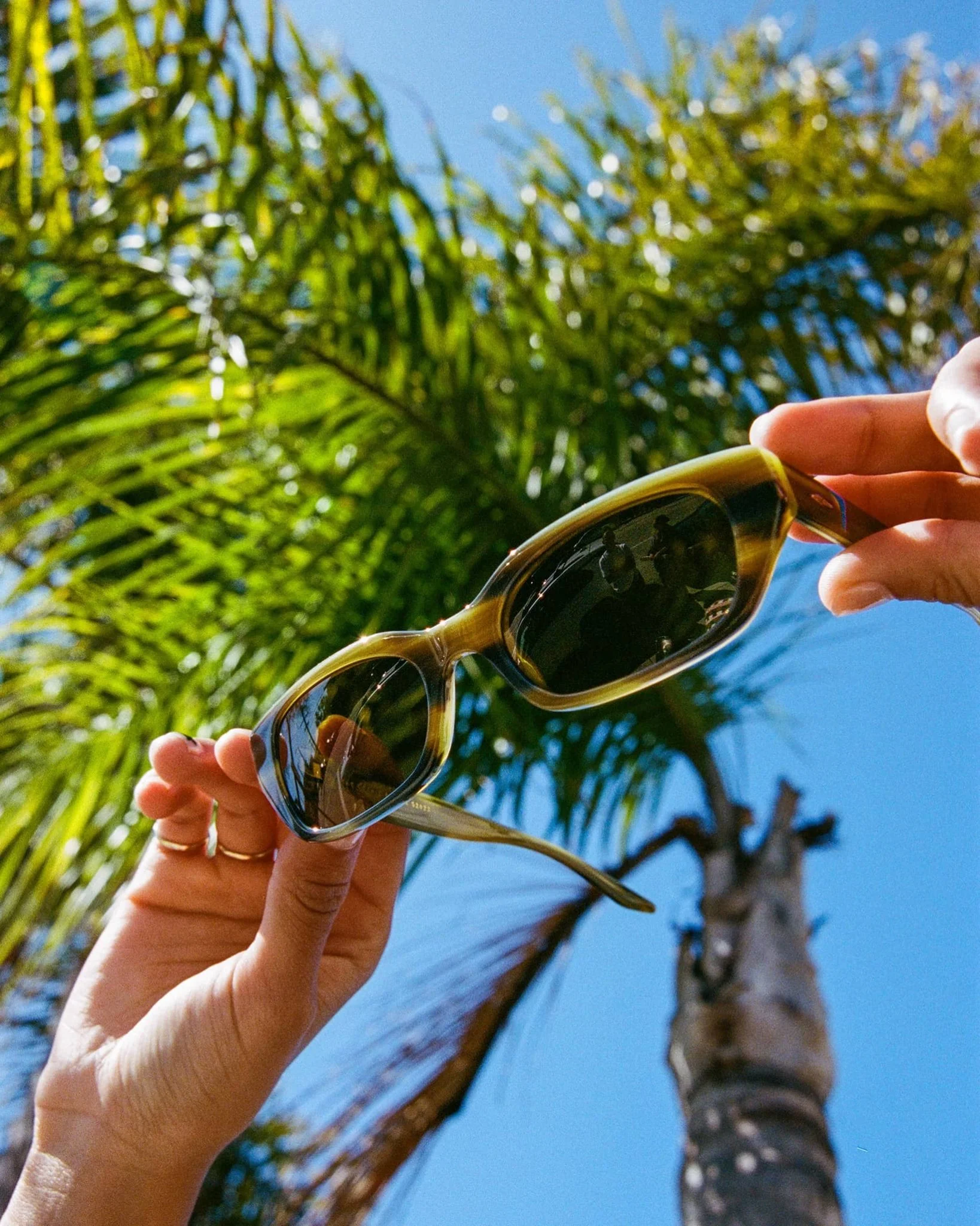 The Gothic Breeze / Frond Bio & Polarised Grapeseed Lens - Image 6