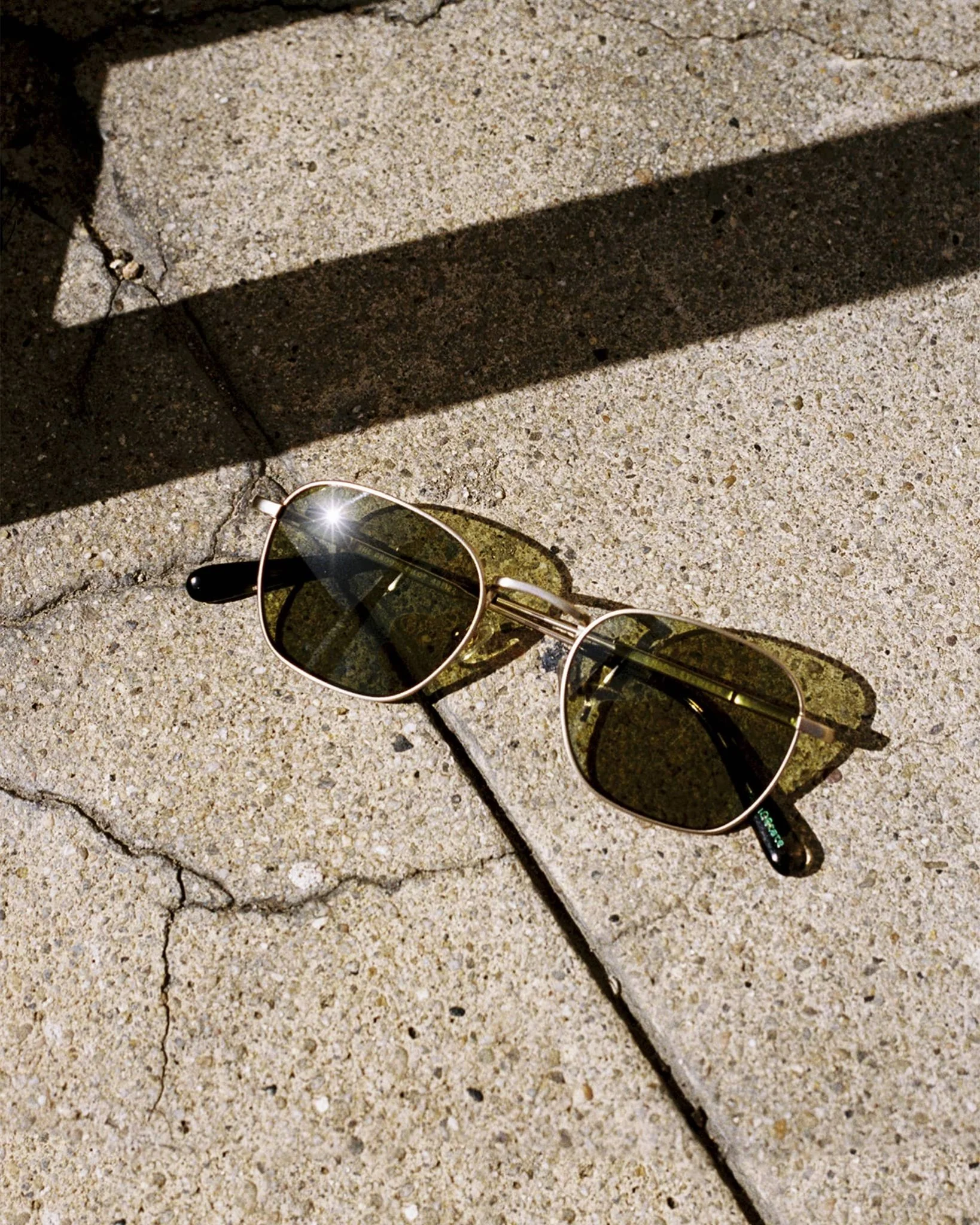 The Groove Pilot / Matte White Gold & Black Tortoise Bio & Moss Lens - Image 6