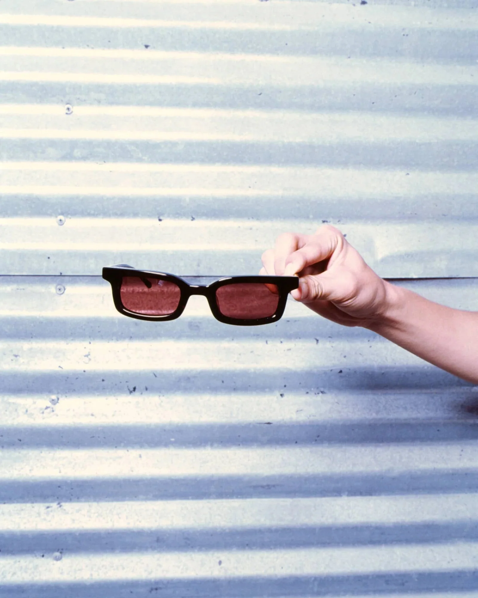 The Head Rattle / Licorice Bio & Rosewood Lens - Image 5