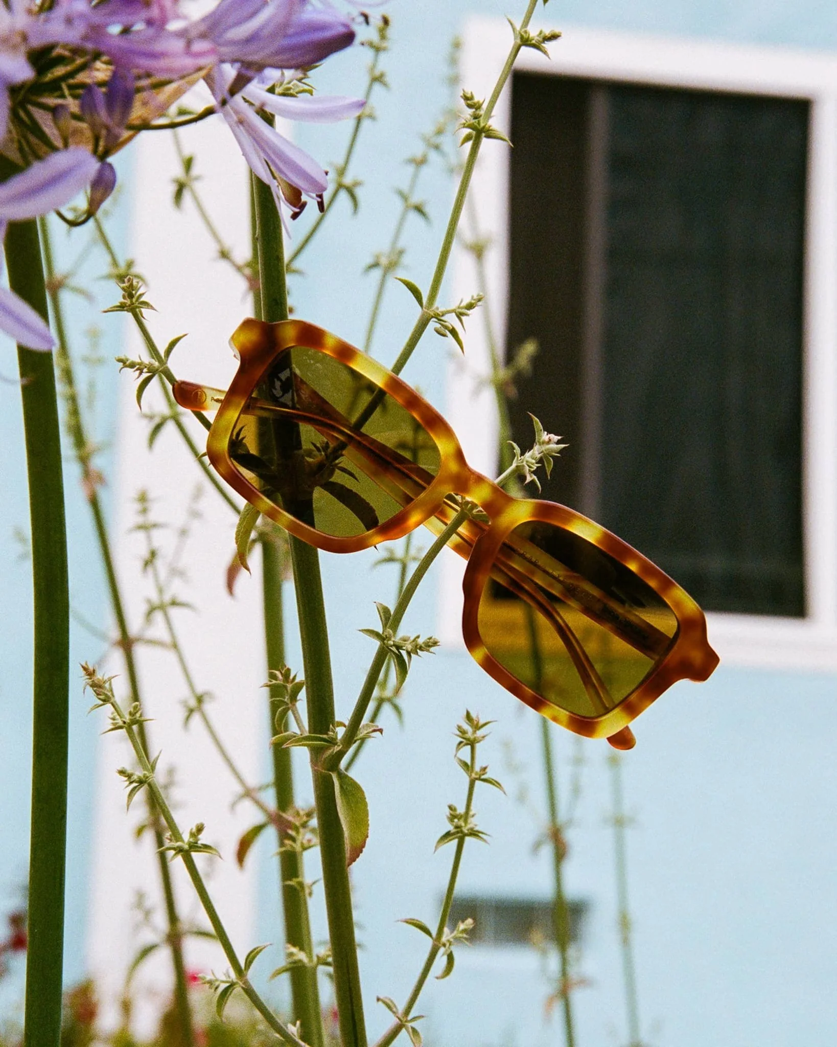The Heavy Tropix / Blonde Tortoise Bio & Polarised Mustard Lens - Image 4
