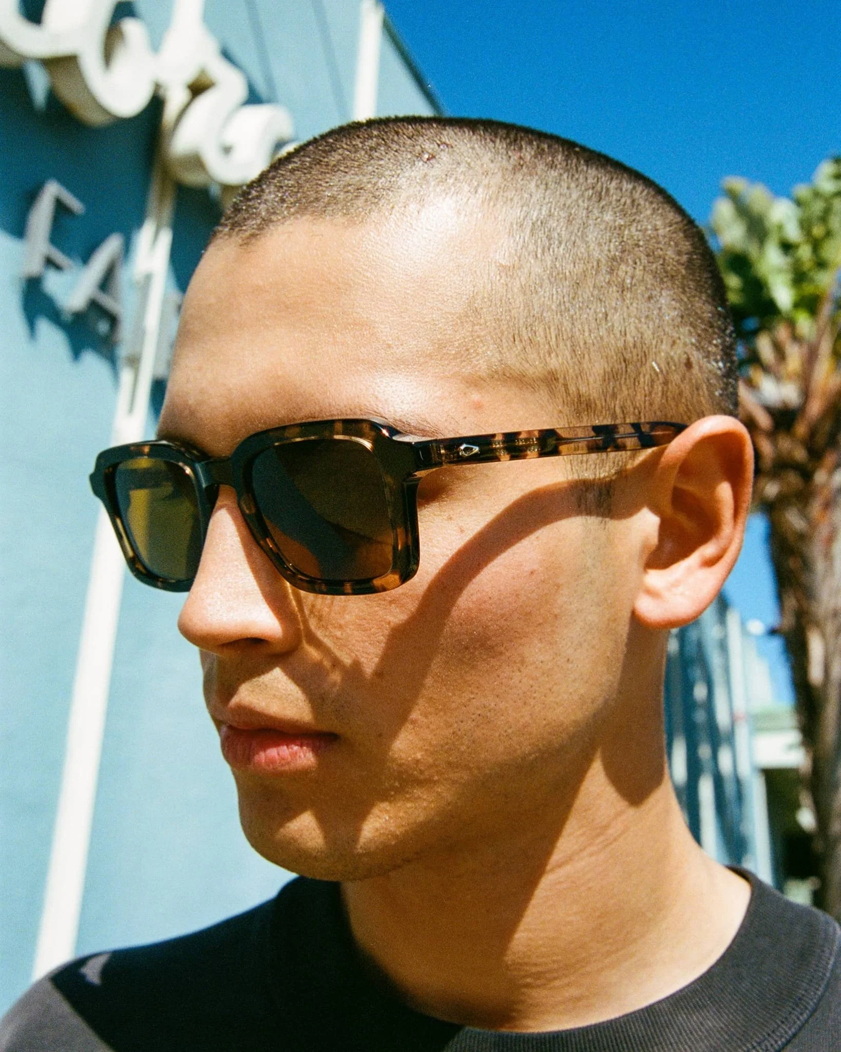 The Heavy Tropix / Desert Tortoise Bio & Polarised Grapeseed Lens - Image 4