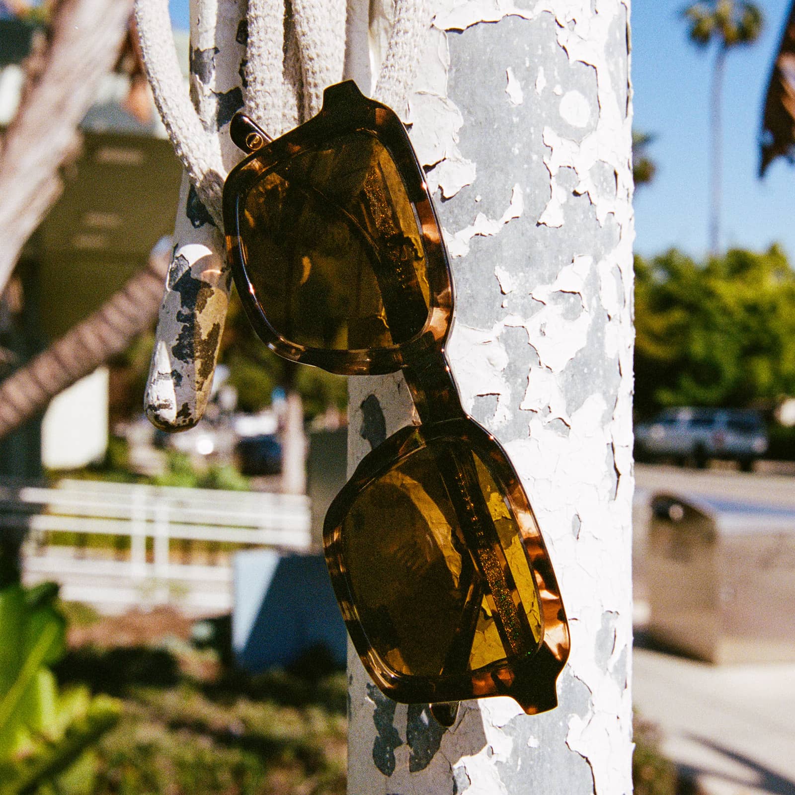 The Heavy Tropix / Desert Tortoise Bio & Polarised Grapeseed Lens - Image 5