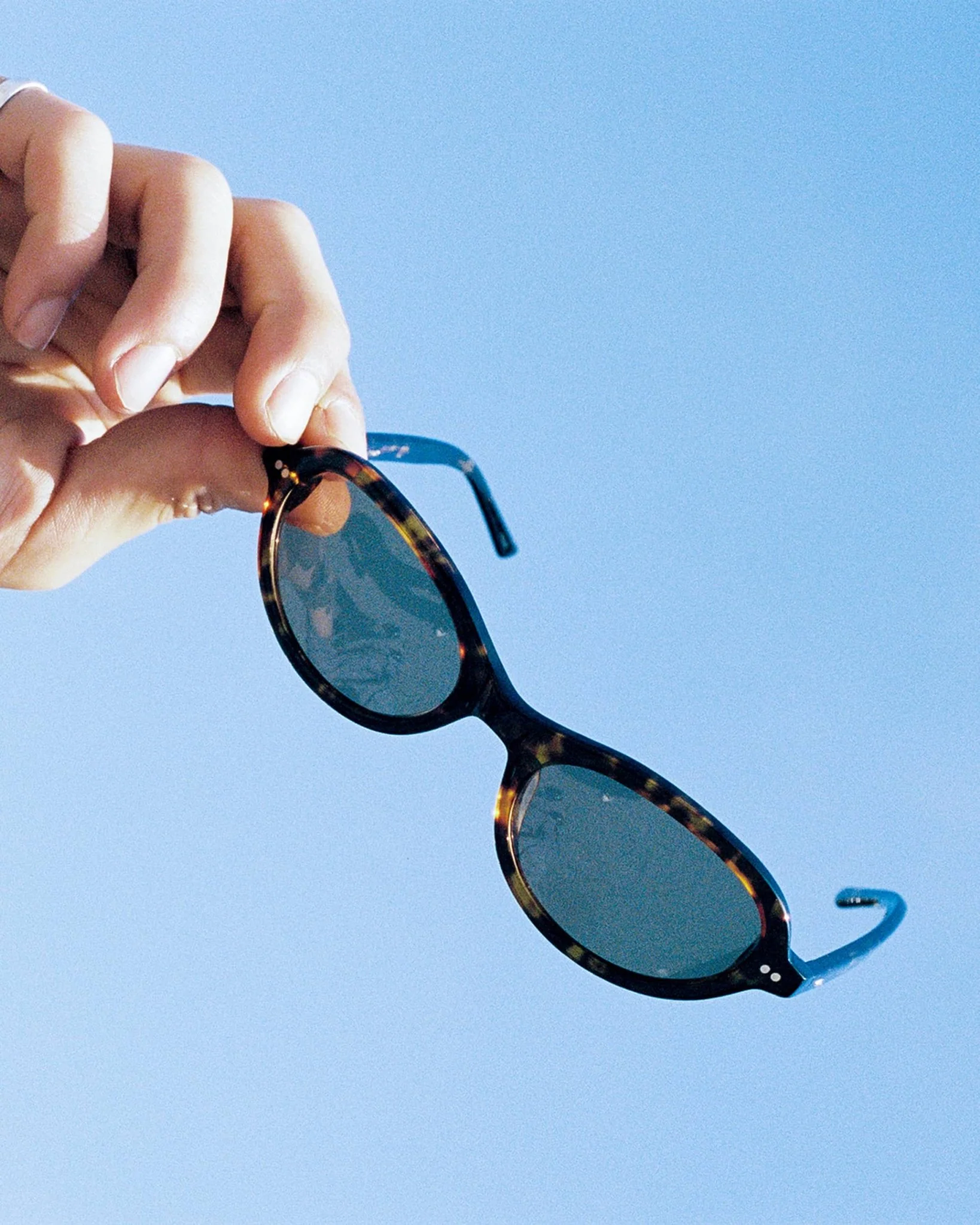 The Marquee Rox / Dark Tortoise Bio & Dune Lens - Image 7