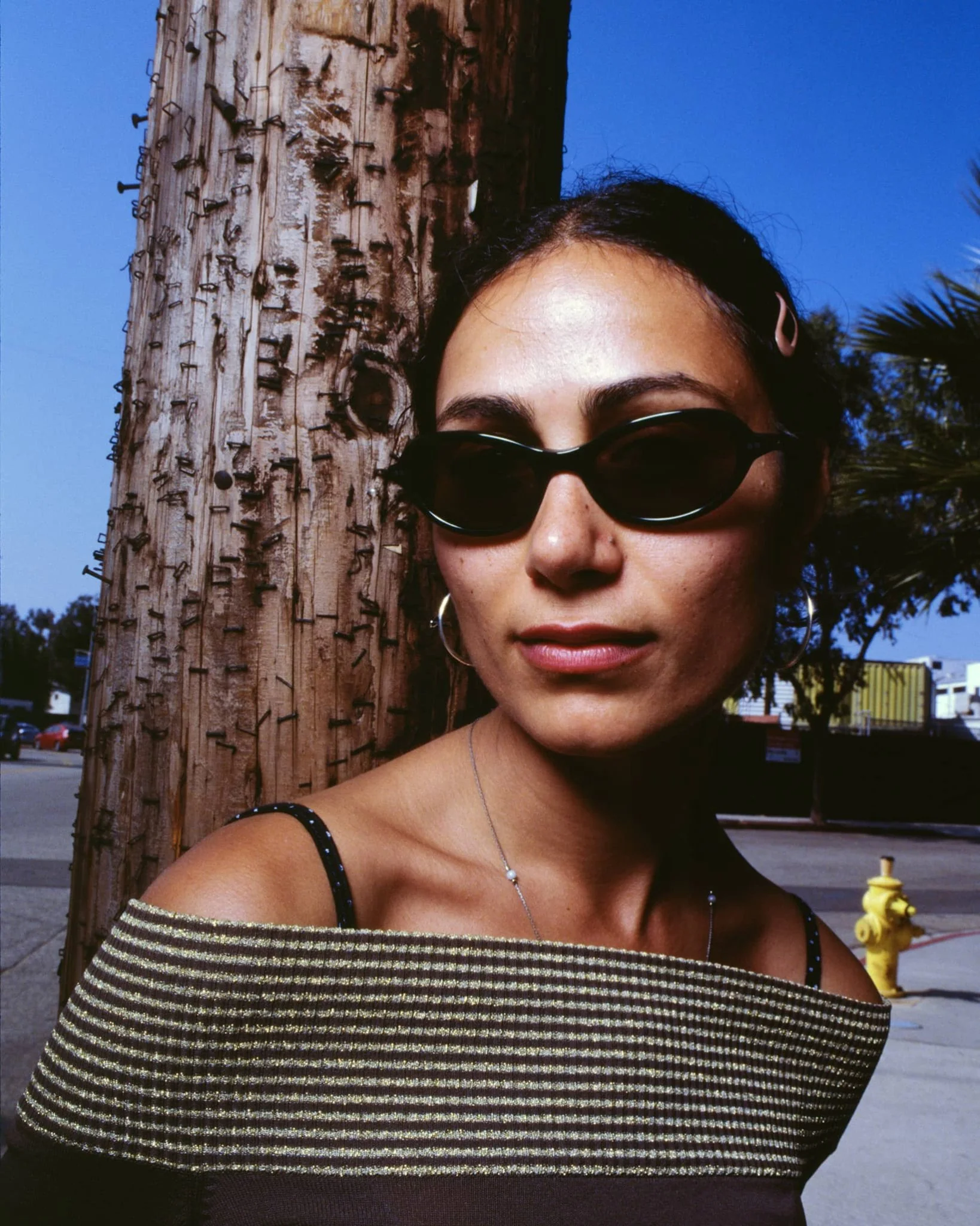 The Marquee Rox / Midnight Forest Bio & Polarised Smoke Lens - Image 3