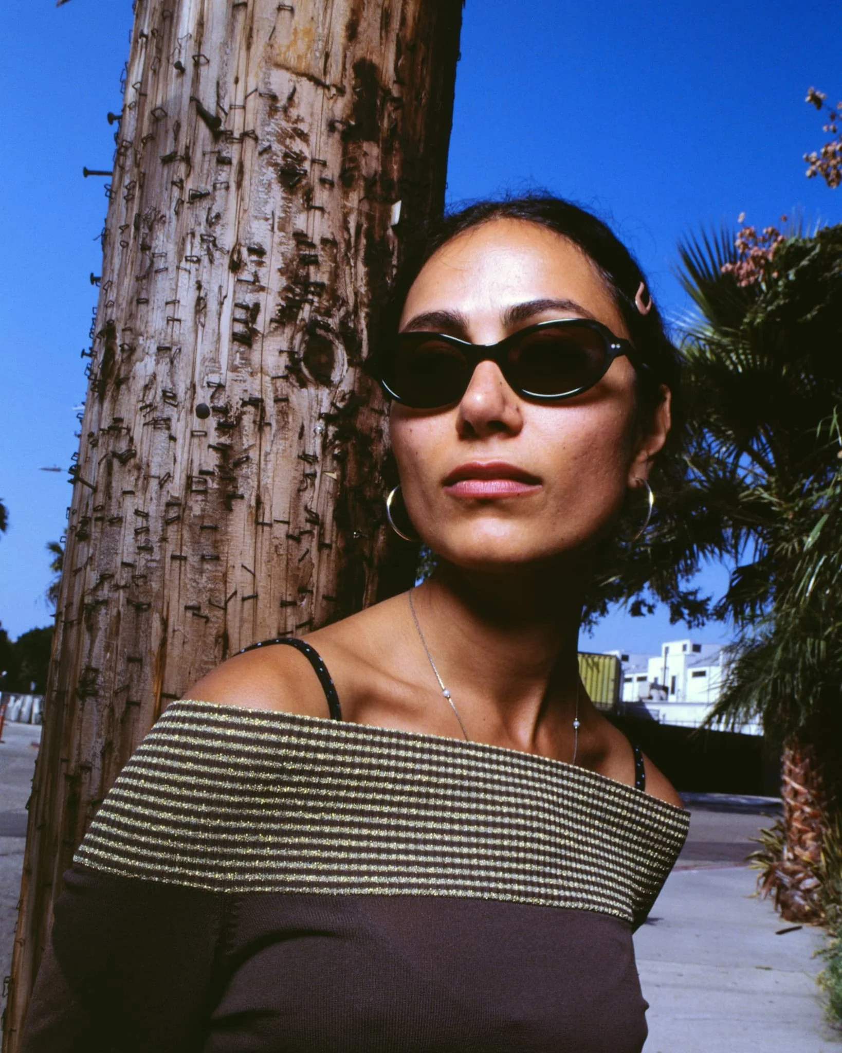 The Marquee Rox / Midnight Forest Bio & Polarised Smoke Lens - Image 4