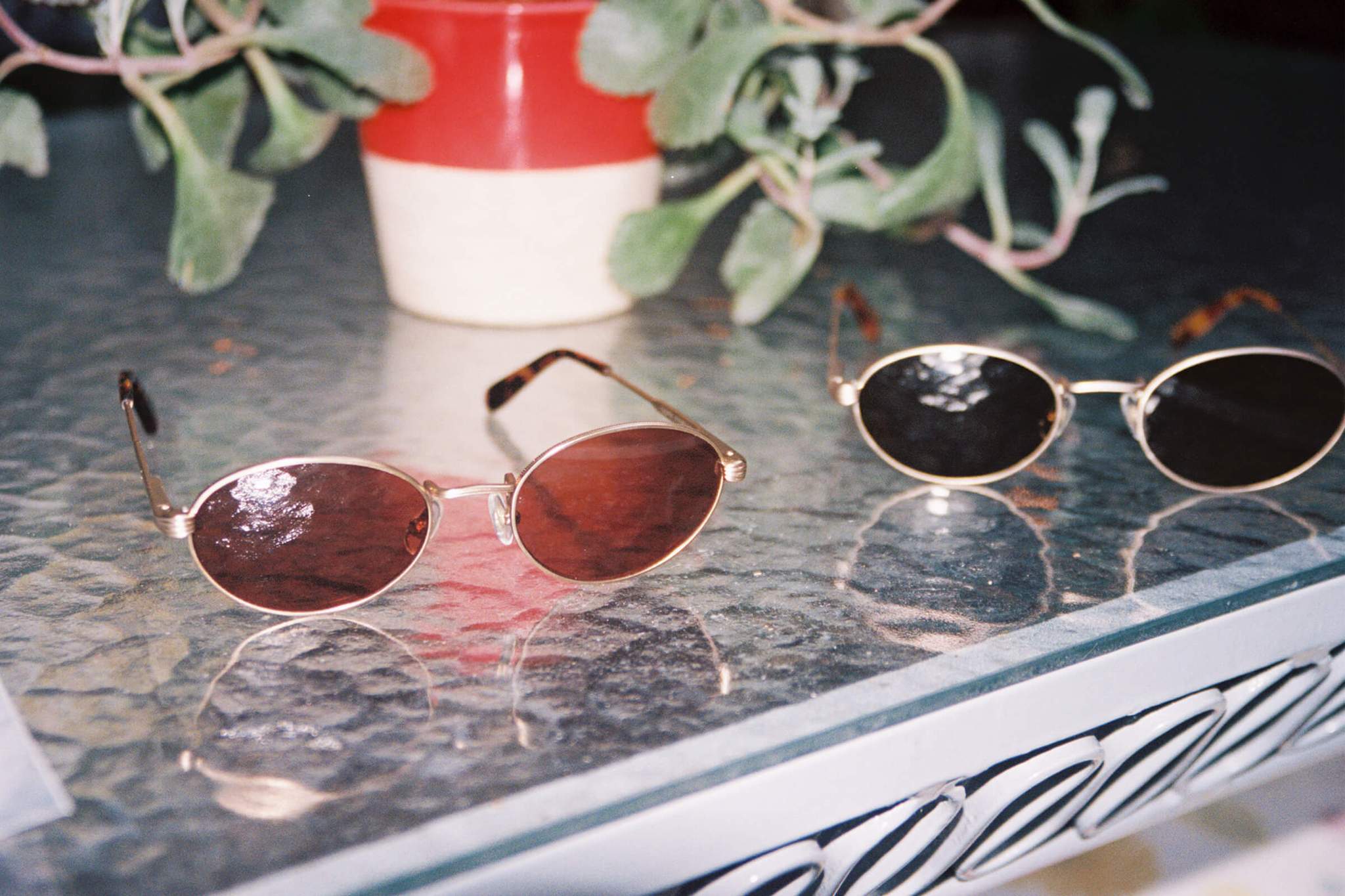 The New Riddim / Brushed Gold Tortoise Bio & Rose Lens - Image 3