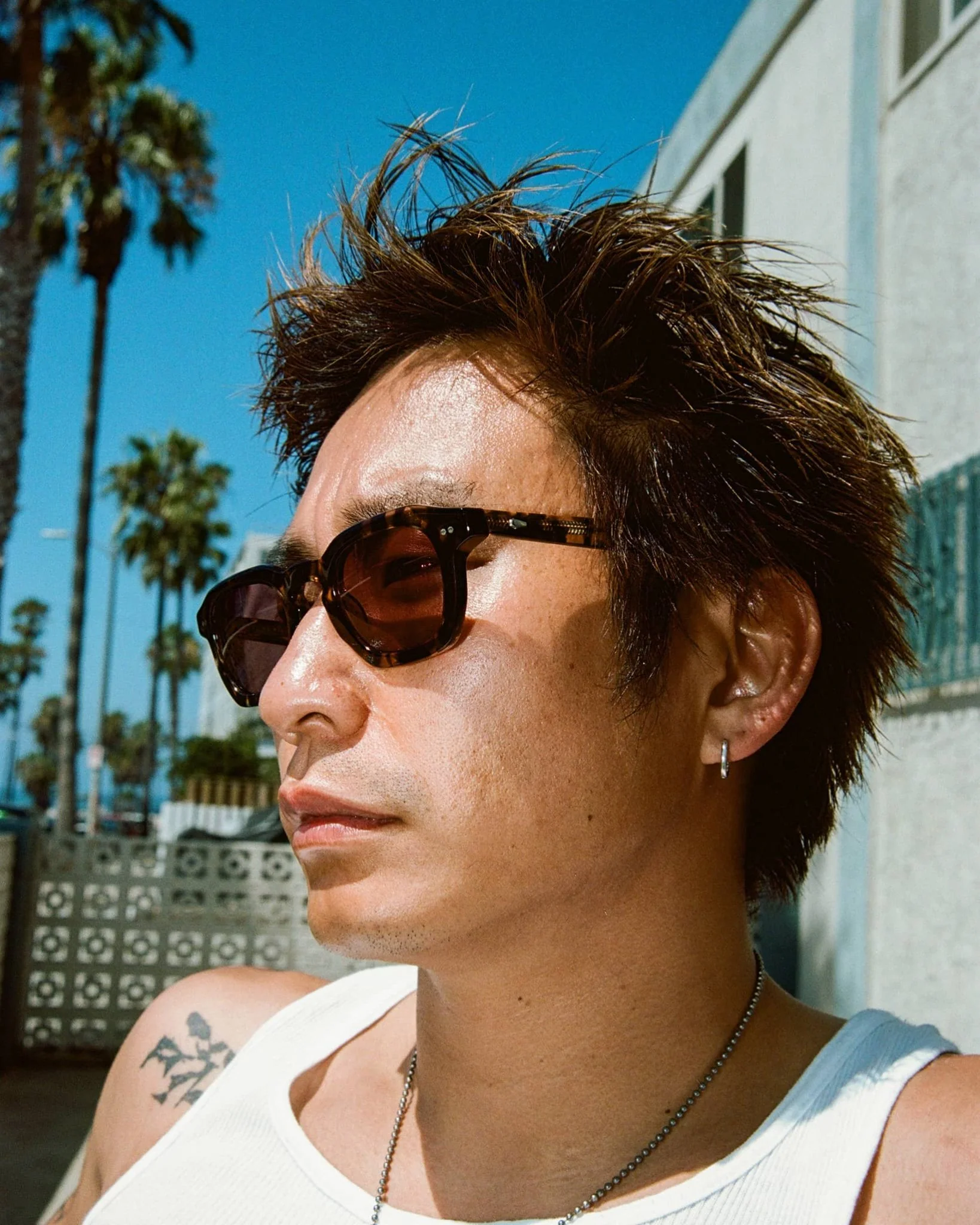The No Wave / Desert Tortoise & Polarised Plum Lens - Image 4