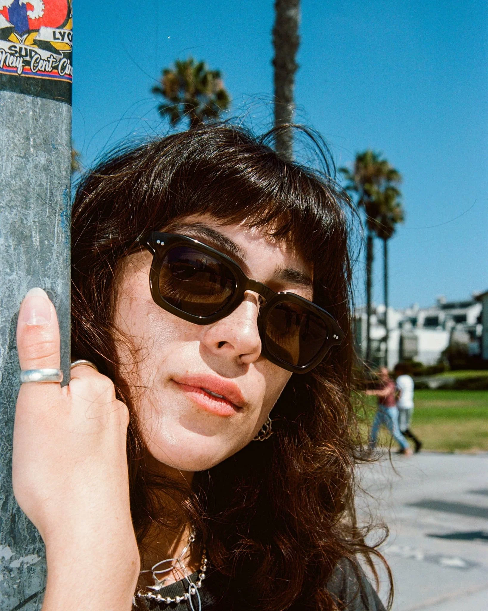 The No Wave / Seaweed Bio & Polarised Smoke Lens - Image 6