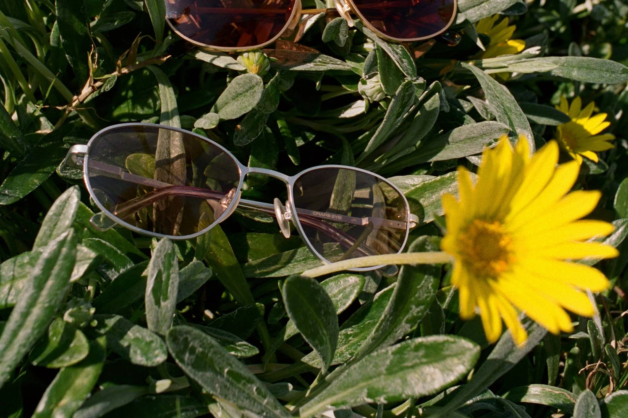 The Perma Joy / Matte Chrome & Lilac Gradient Bio Lens - Image 6