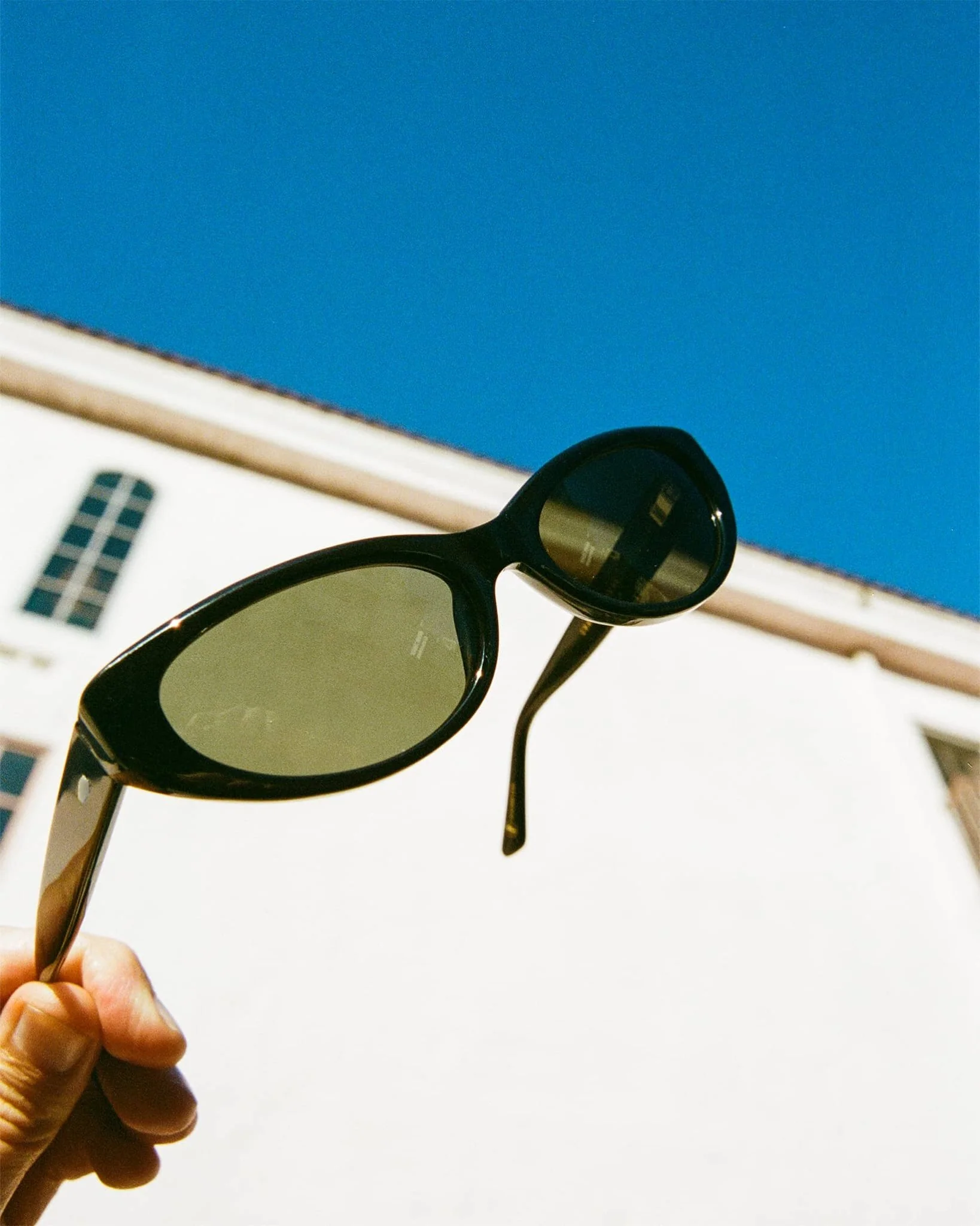 The Petal Bomb / Black Moondust Bio & Polarised G15 Lens - Image 5